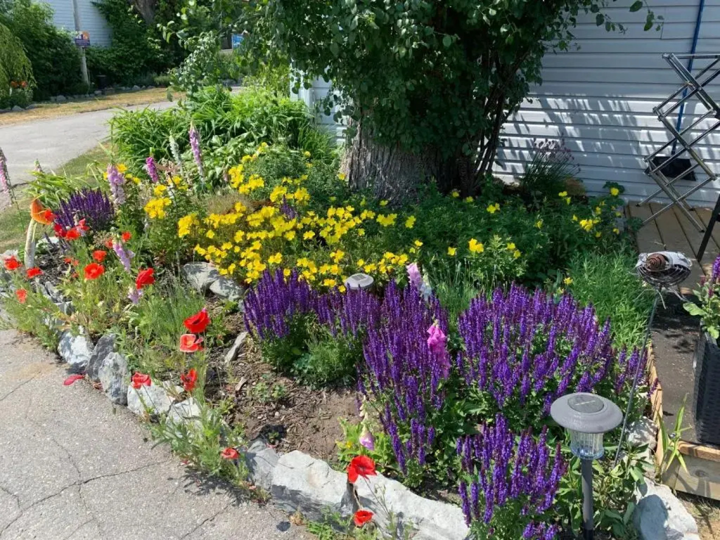 Twin Birch Suites and Cottages