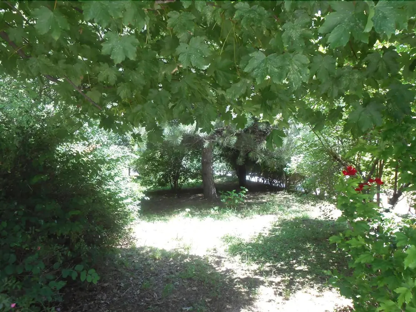 Grande Albergo Gambarie