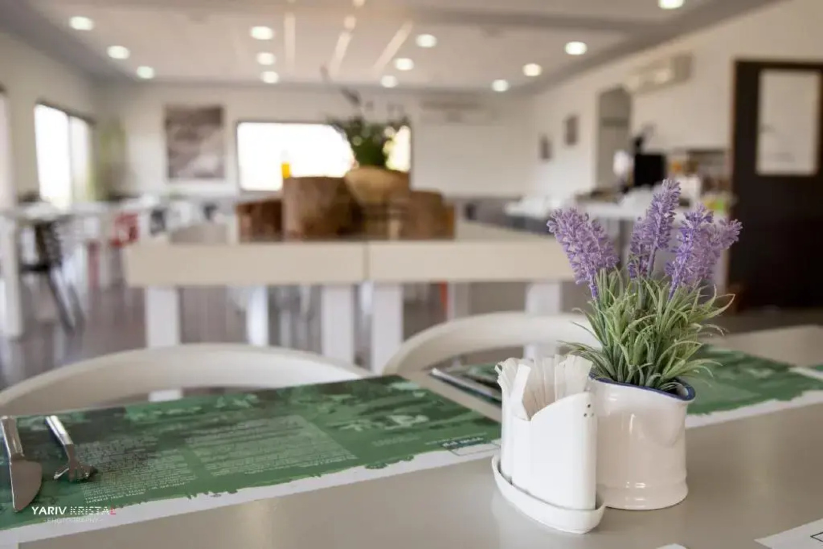 Ein Harod Ichud Kibbutz Country Lodging