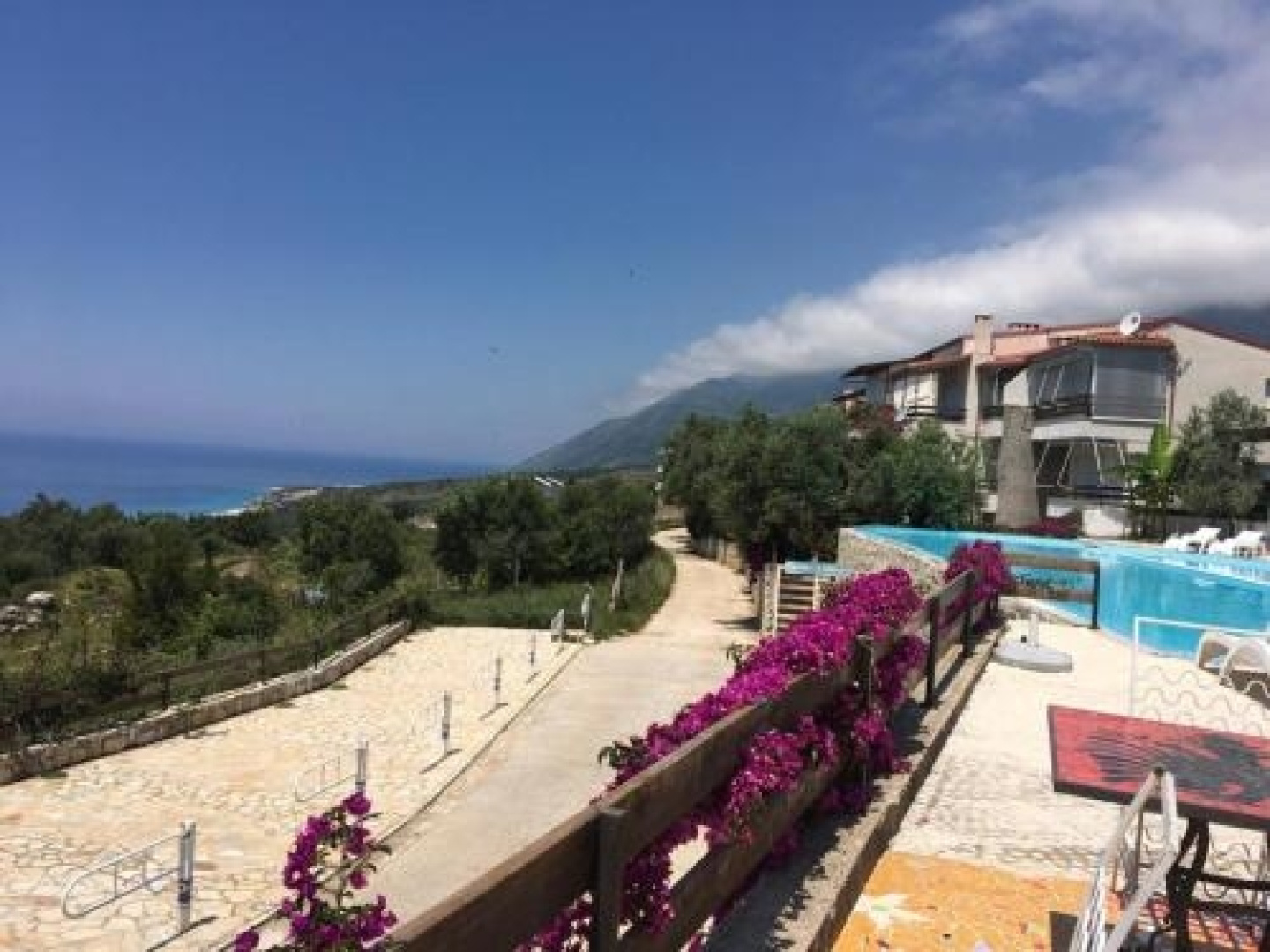 The Olives Terrace Apartments