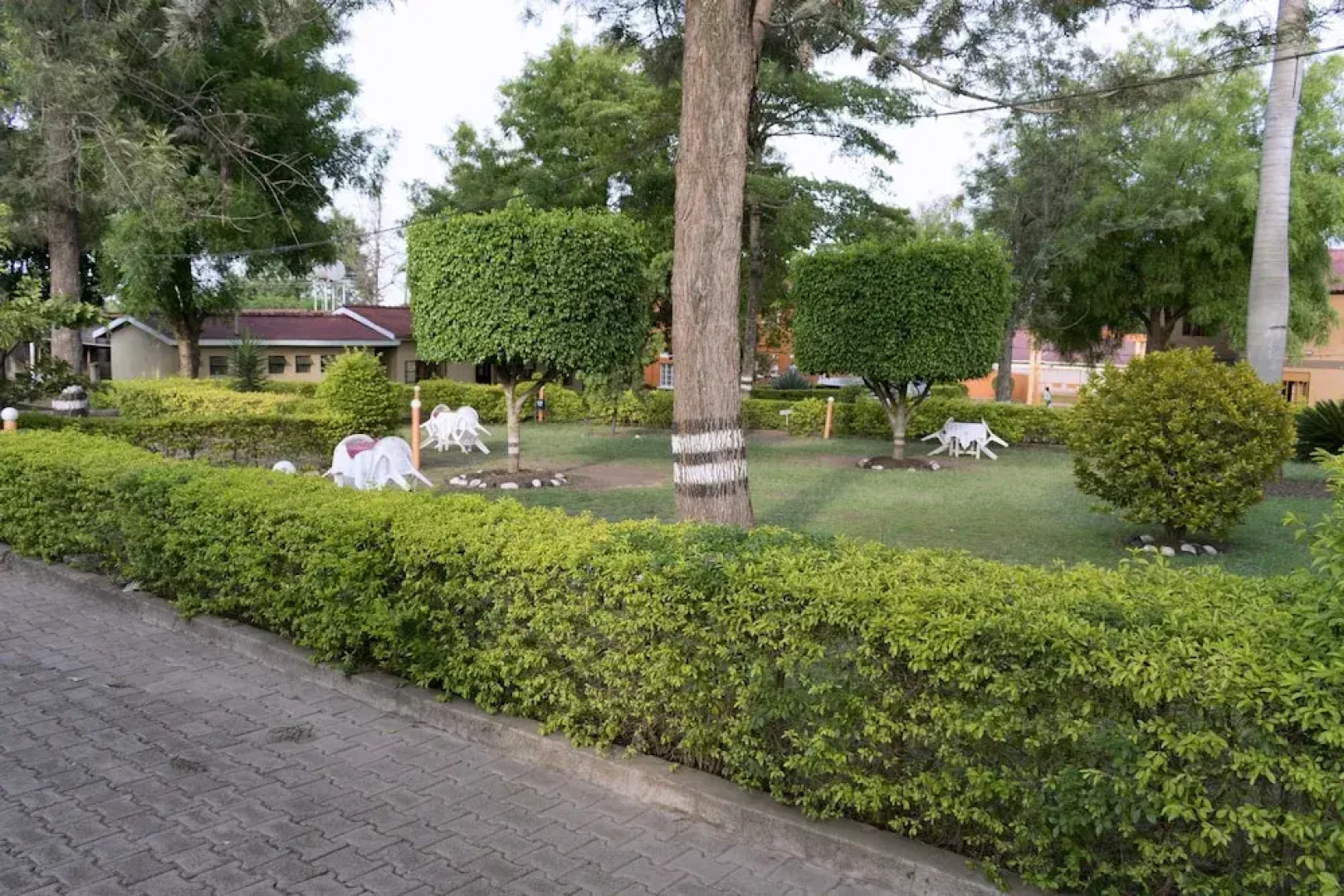 Rwenzori International Hotel