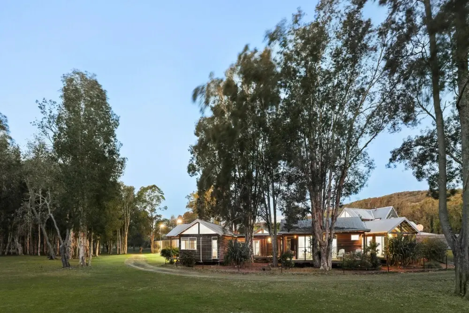 The Banksias