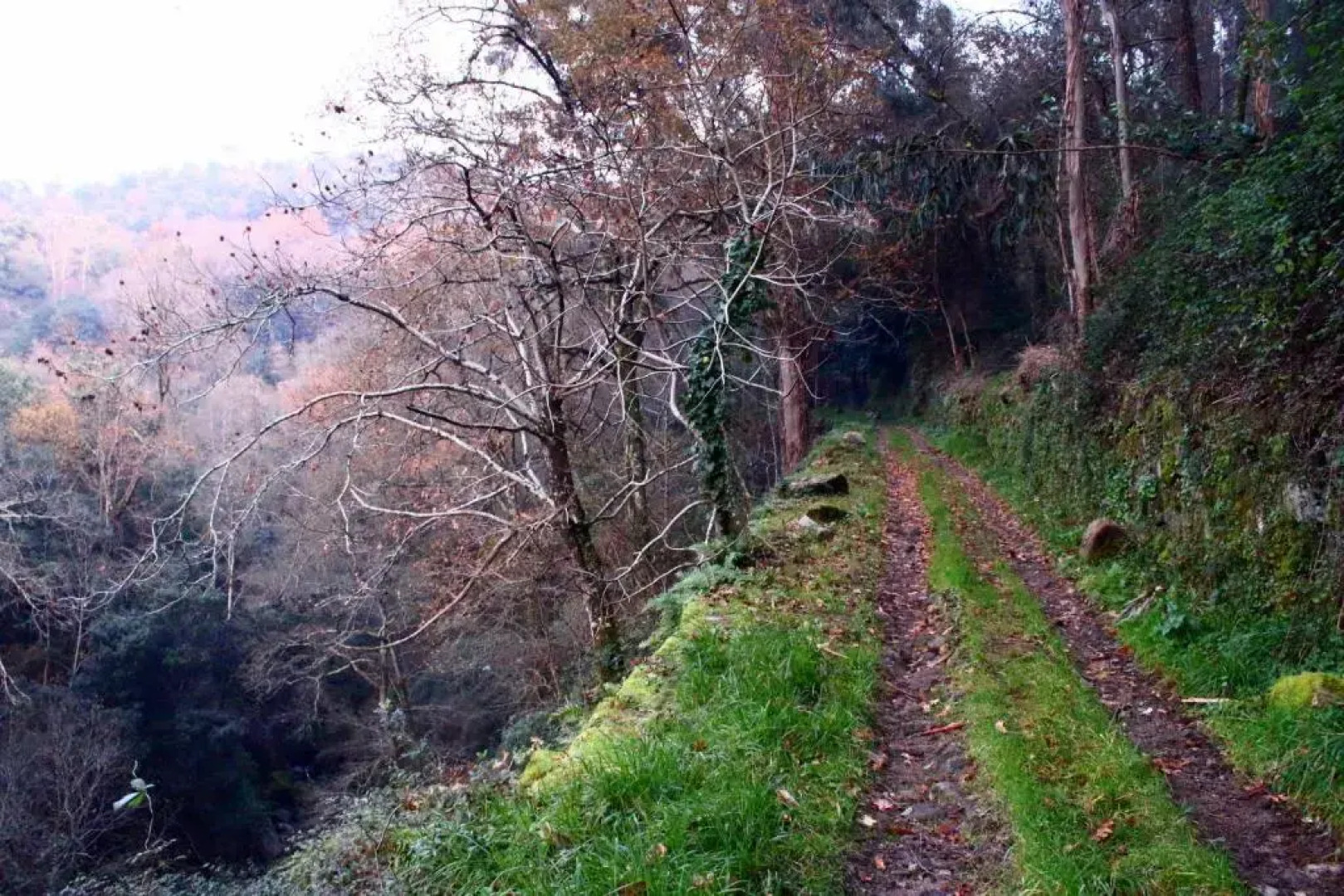 Casa do Vale de Cerdeiras