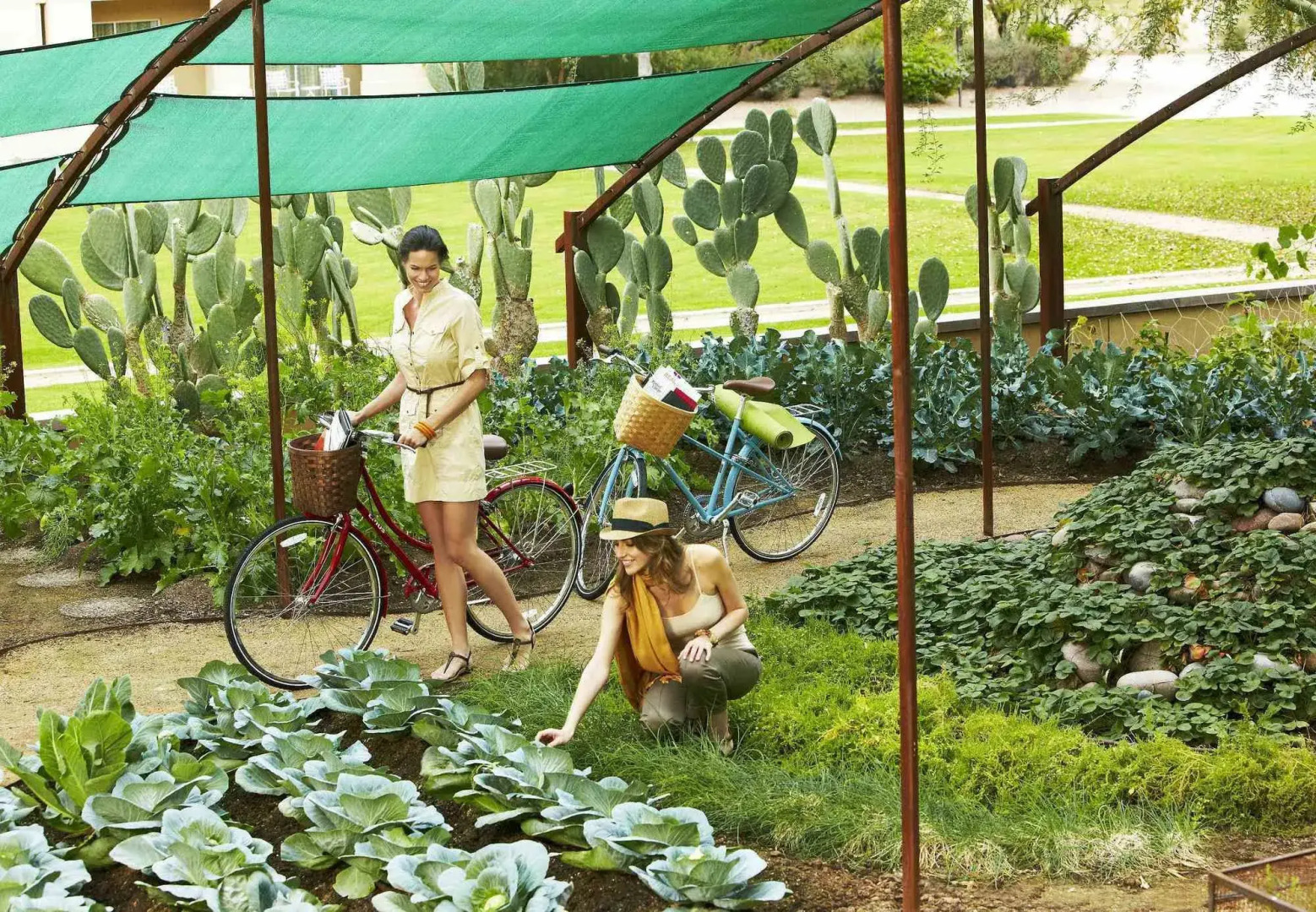 JW Marriott Phoenix Desert Ridge Resort & Spa