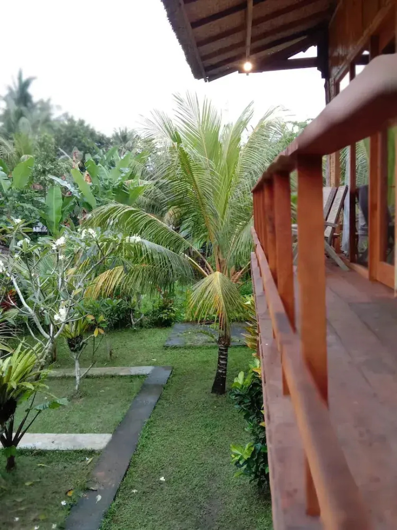 Jungle House - surf & stay