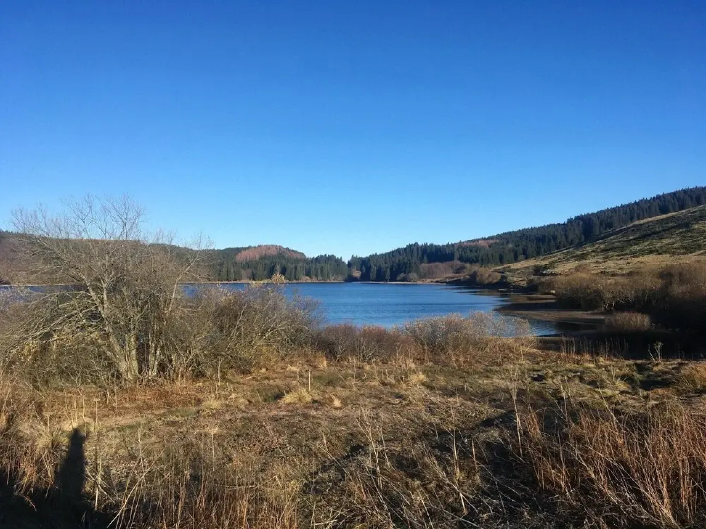 Apartment With 2 Bedrooms in Le Mont-dore, With Wonderful Mountain View and Wifi - 3 km From the Slopes