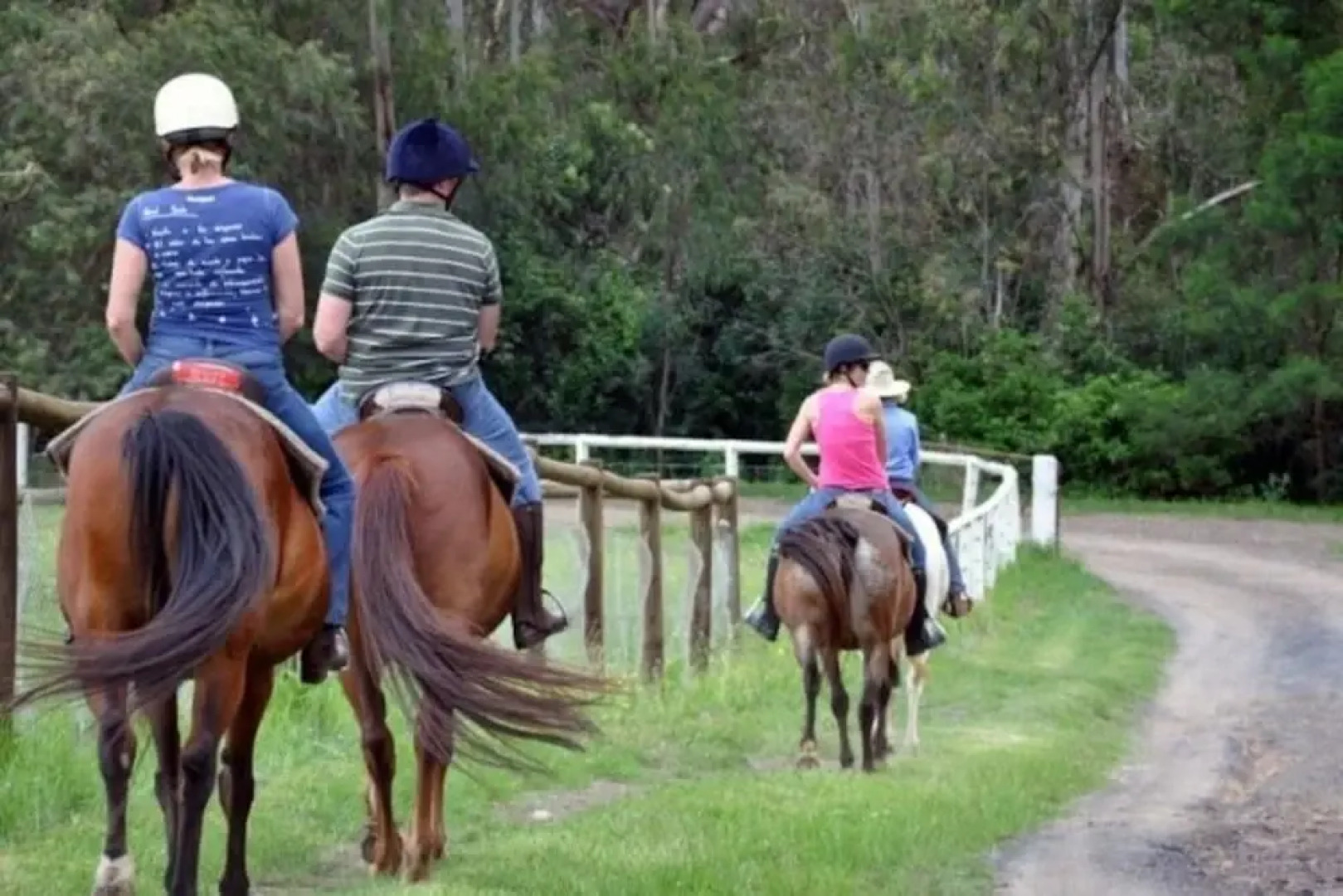 Big Tiny Paperbark Tiny House
