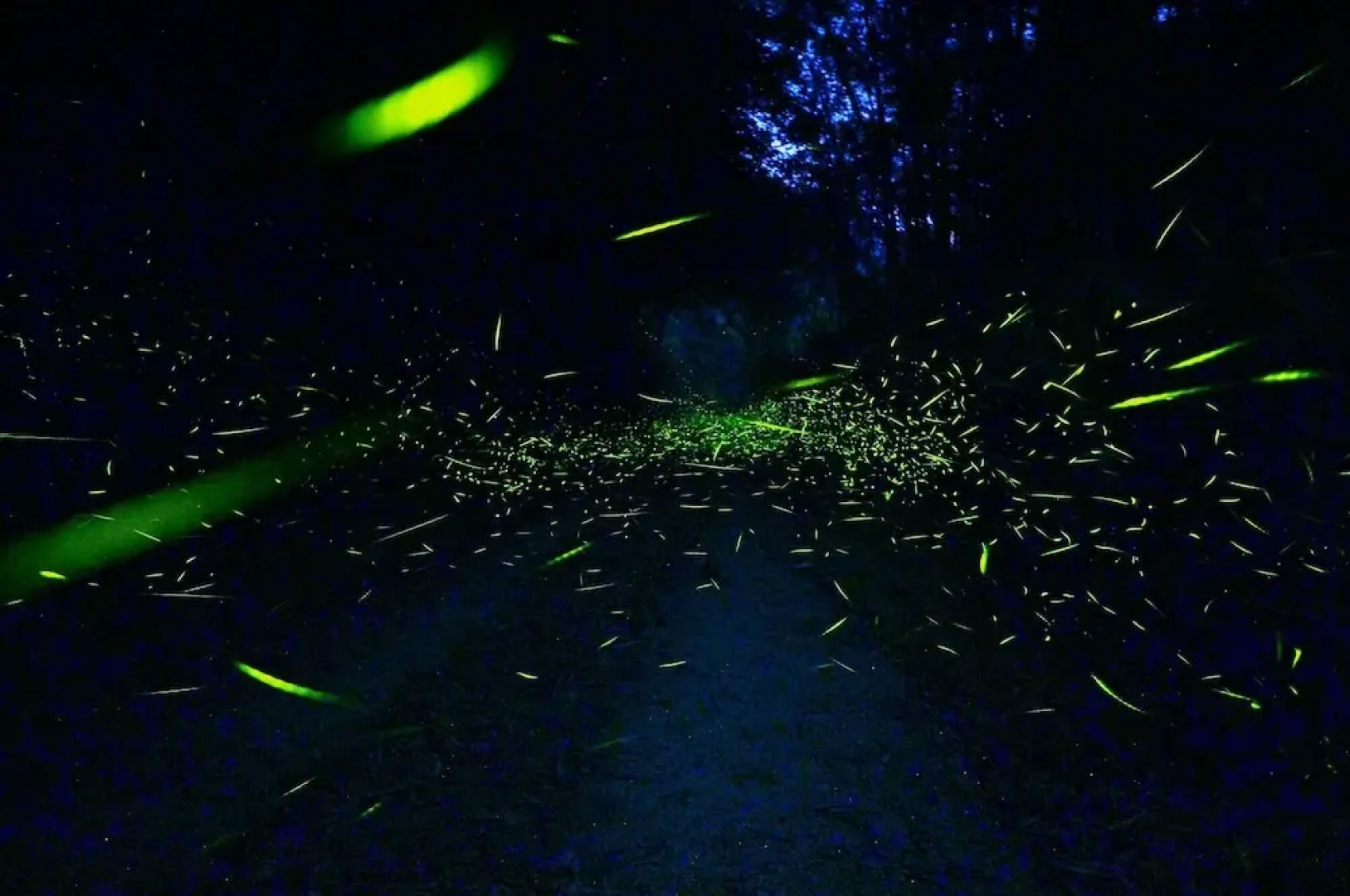 Ruili Meng Zongzhu Homestay