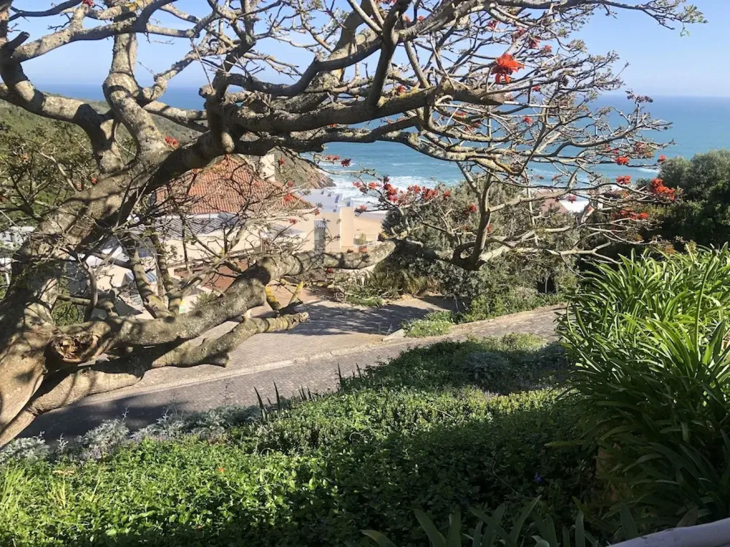 Dutton's Cove Guesthouse