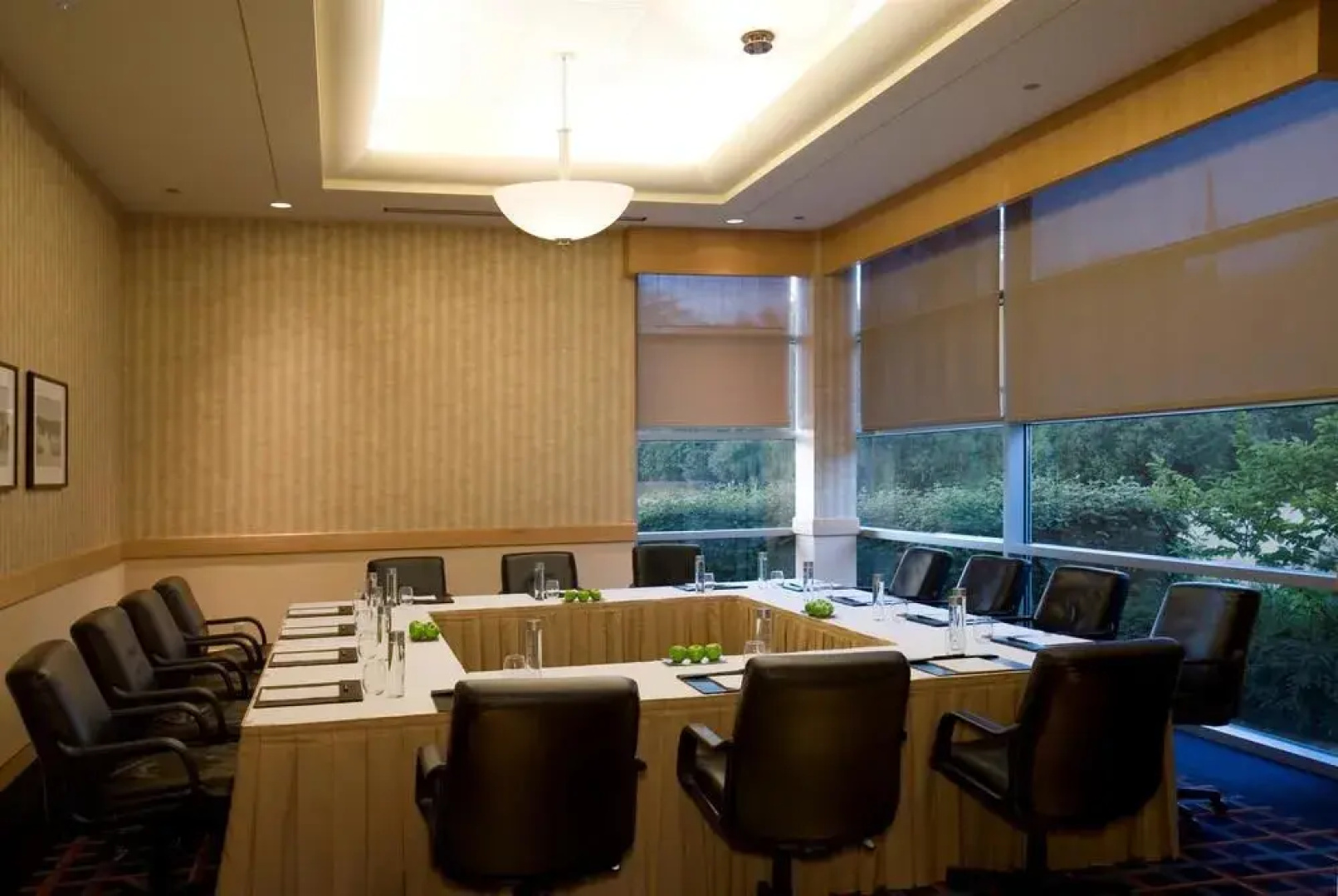 Hyatt Rosemont