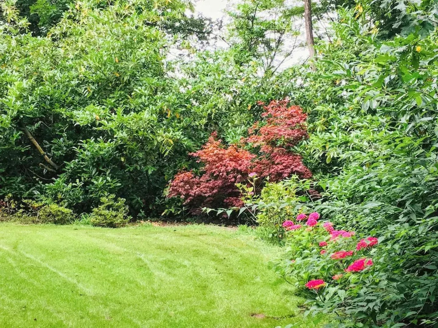 Bel Air Maison D'hôtes des Landes