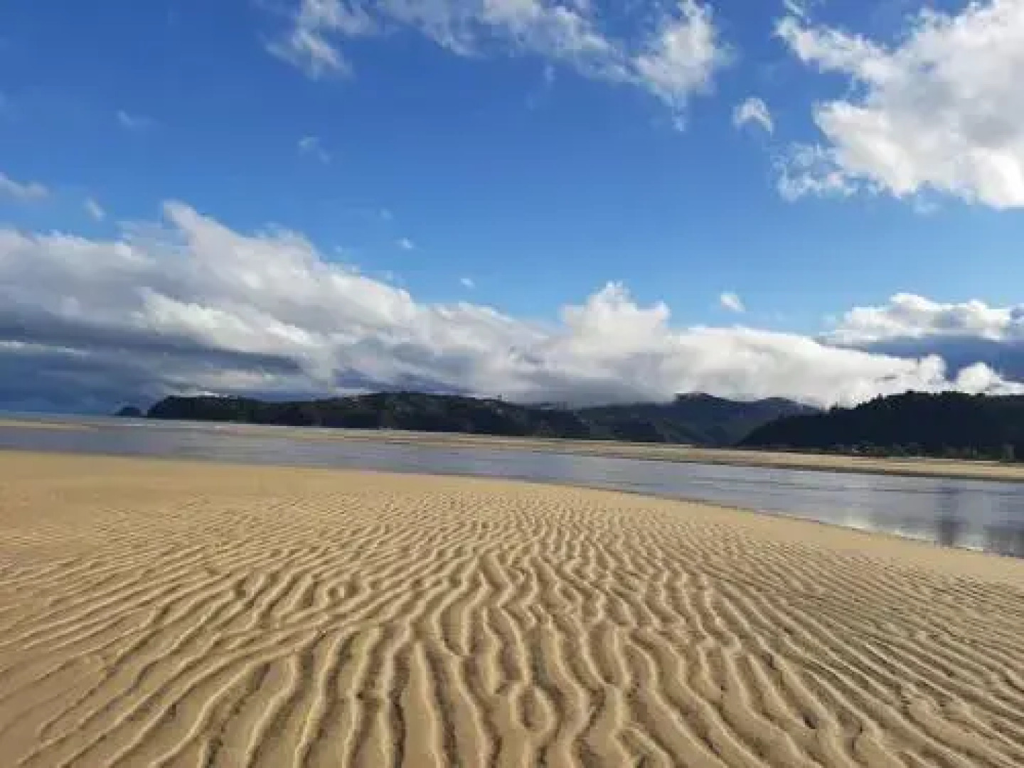 Buena Vista Apartment