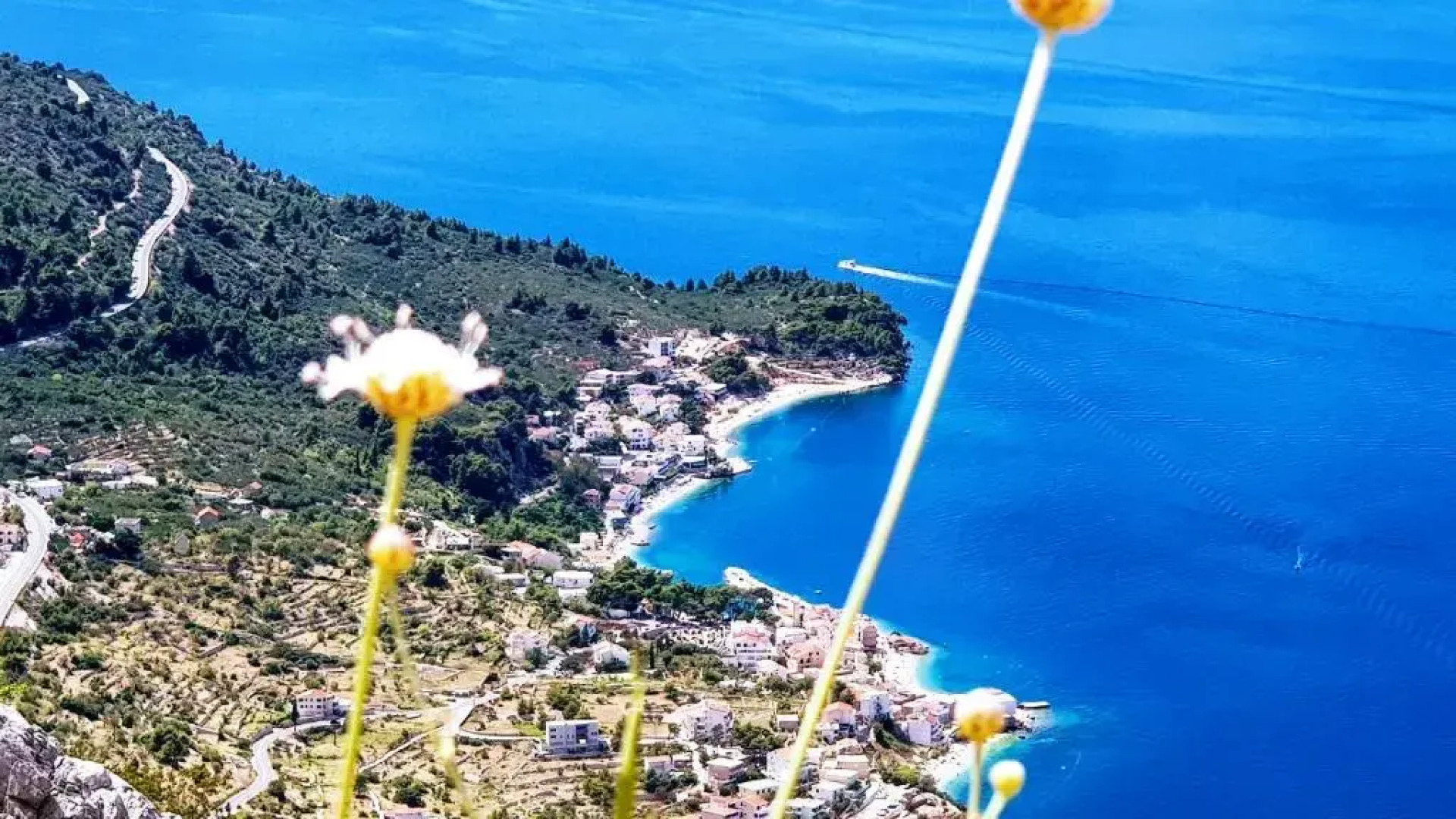 Grand View Apartments