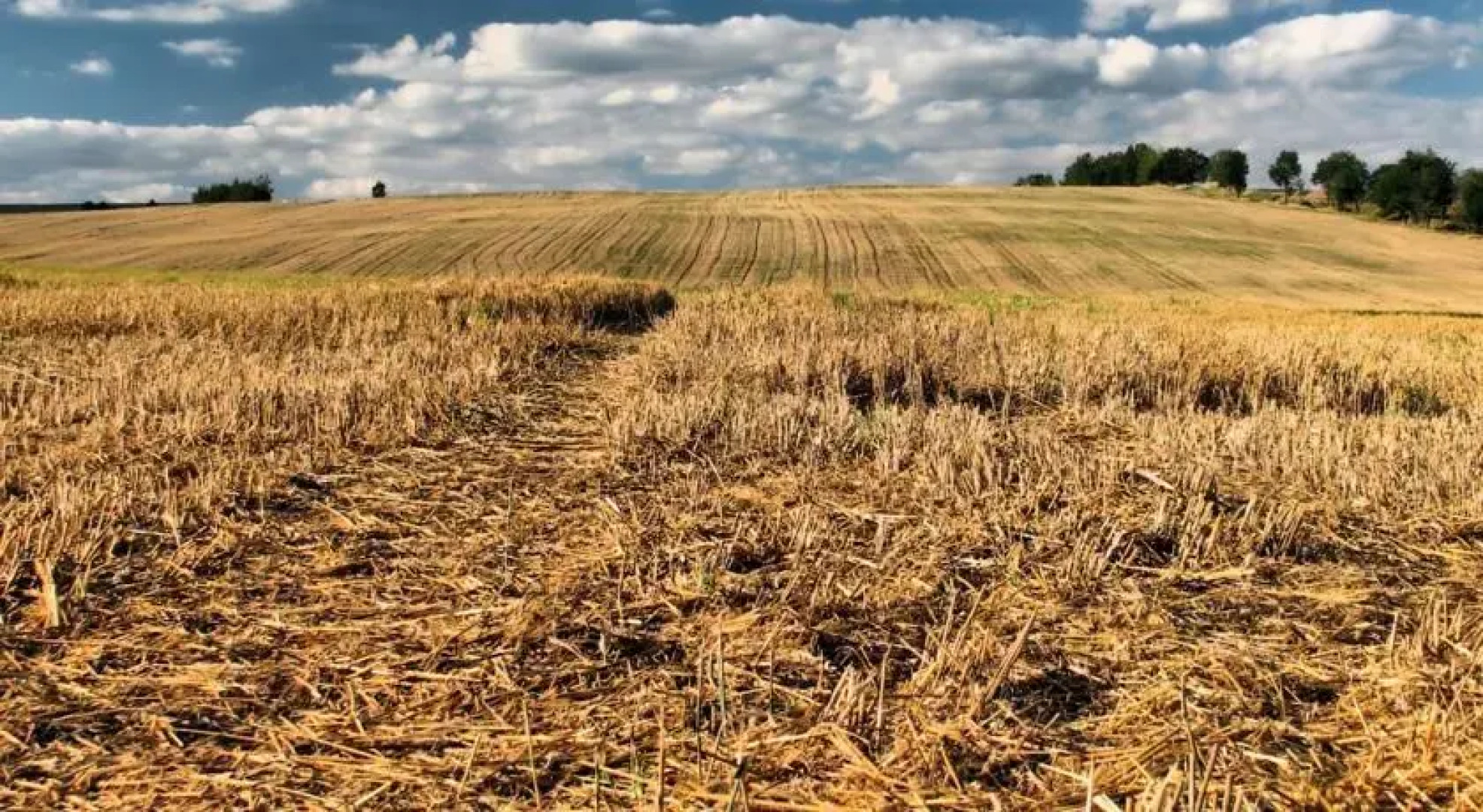 Ośrodek Wypoczynkowy Wisła w Sokolcu