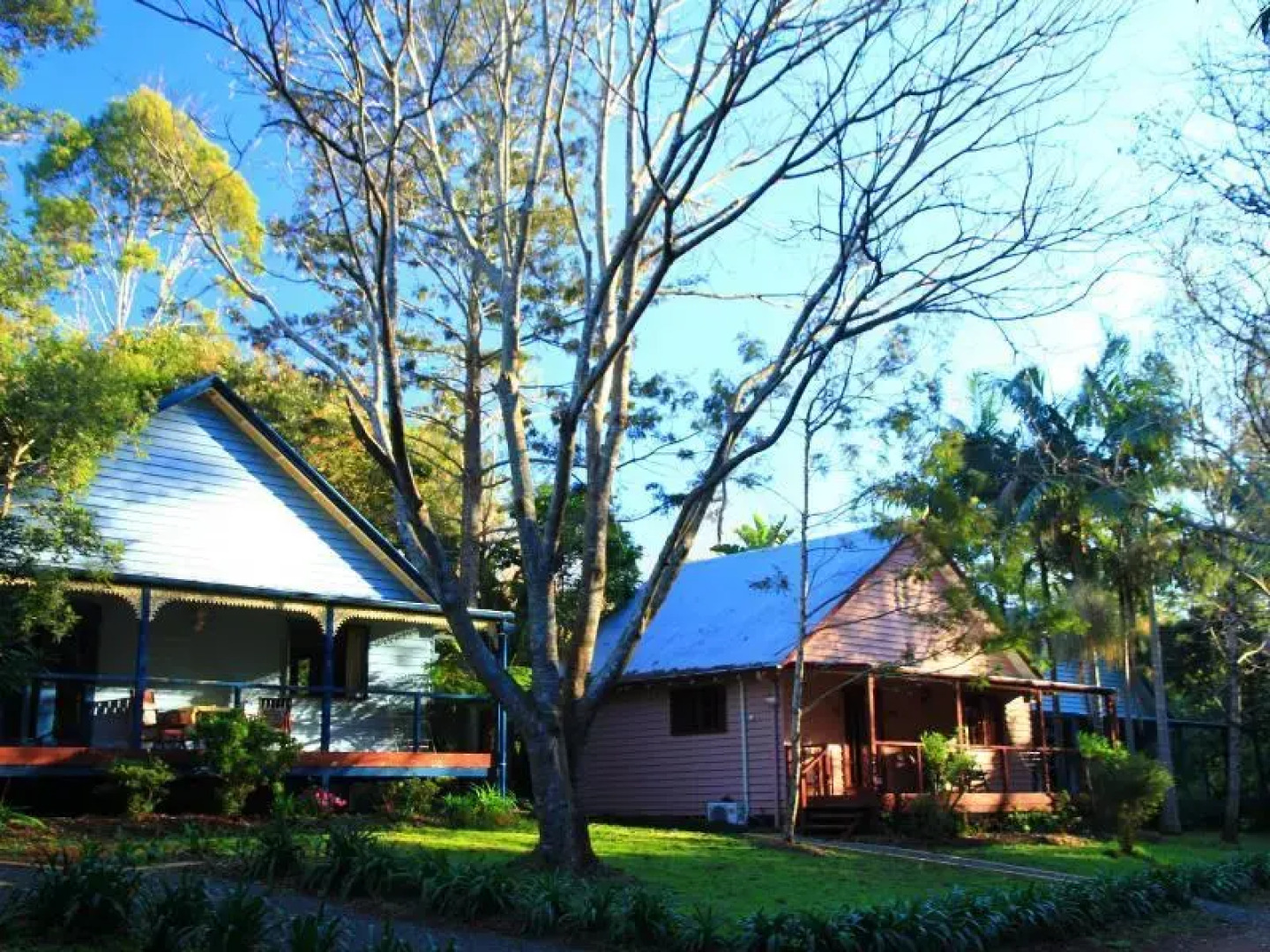 Maz's Tamborine Mountain Accommodation