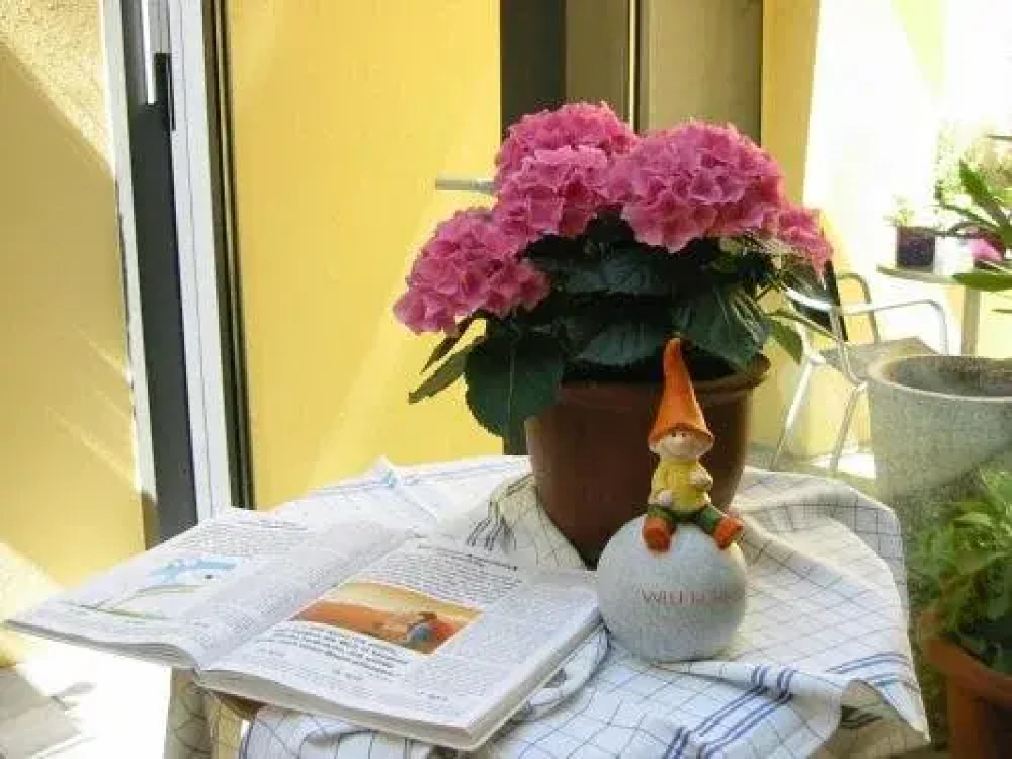 Stadt-gut-Hotel Altstadt-Hotel Stern