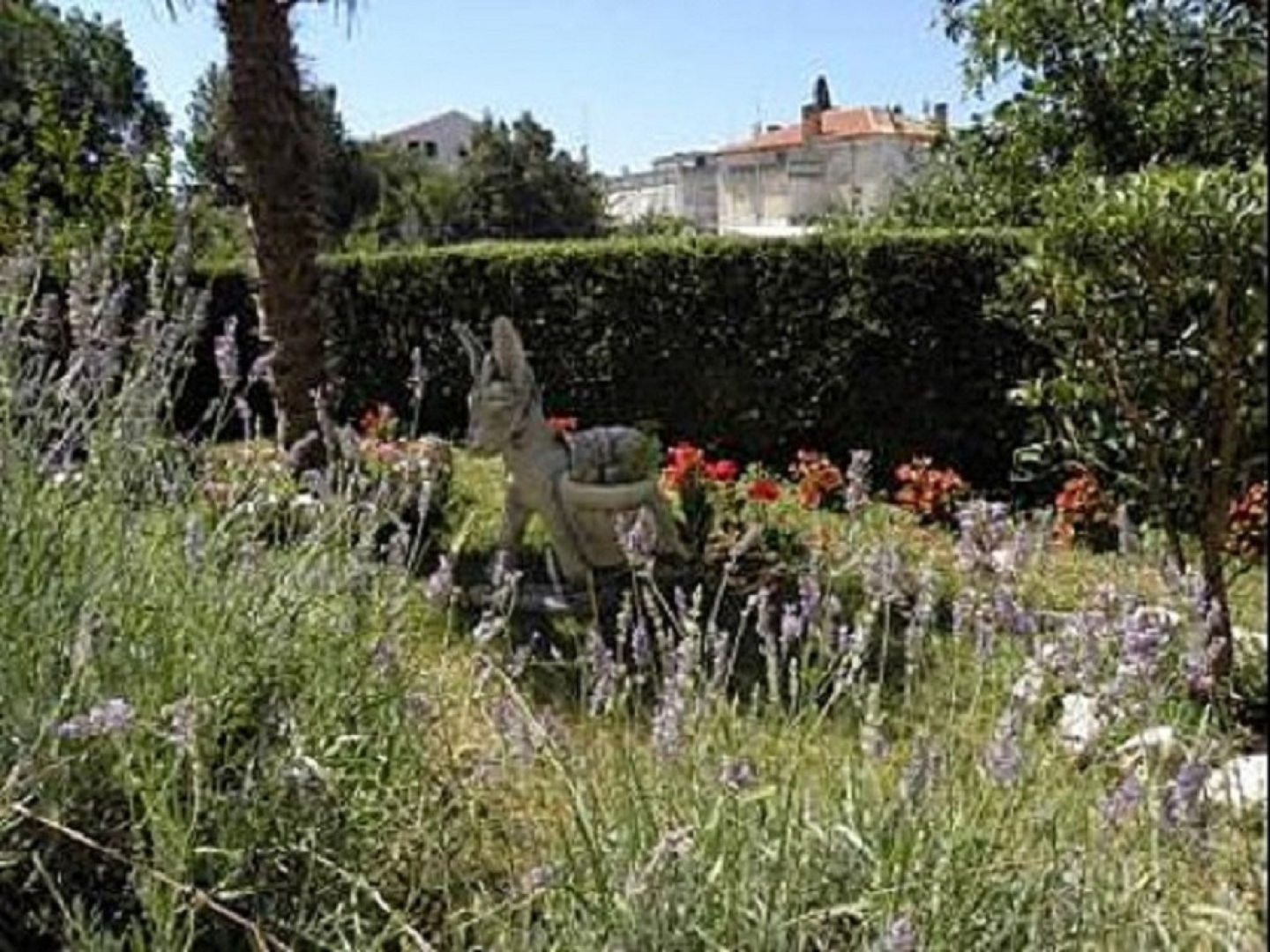 Room Antony - free grill: R1 Novalja, Island Pag