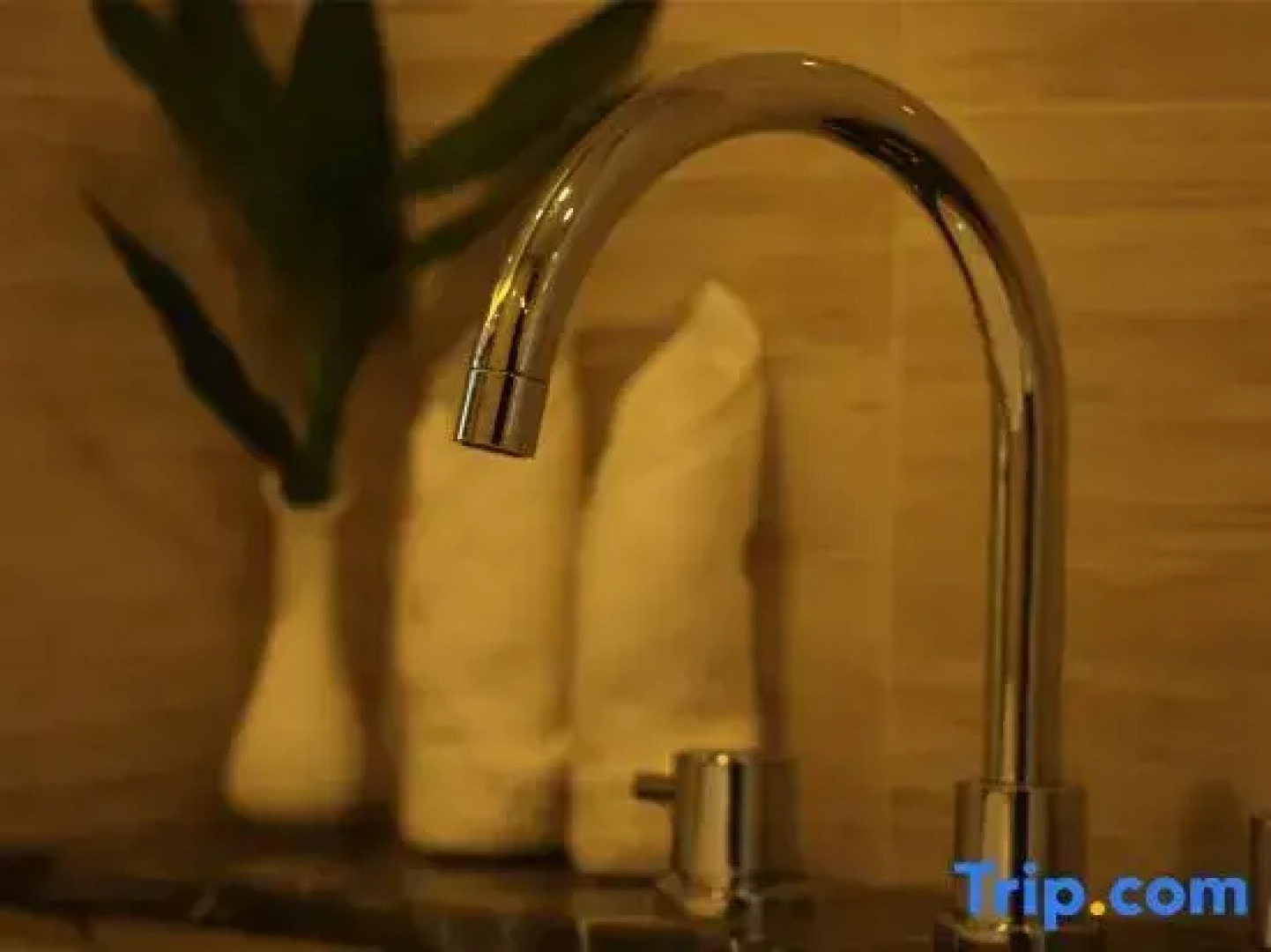 Xuanyu International Hotel