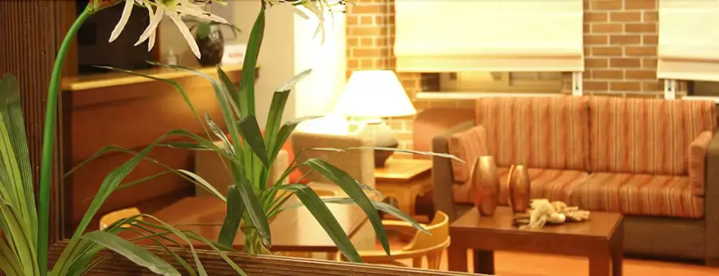 Hotel Casa Do Alentejo