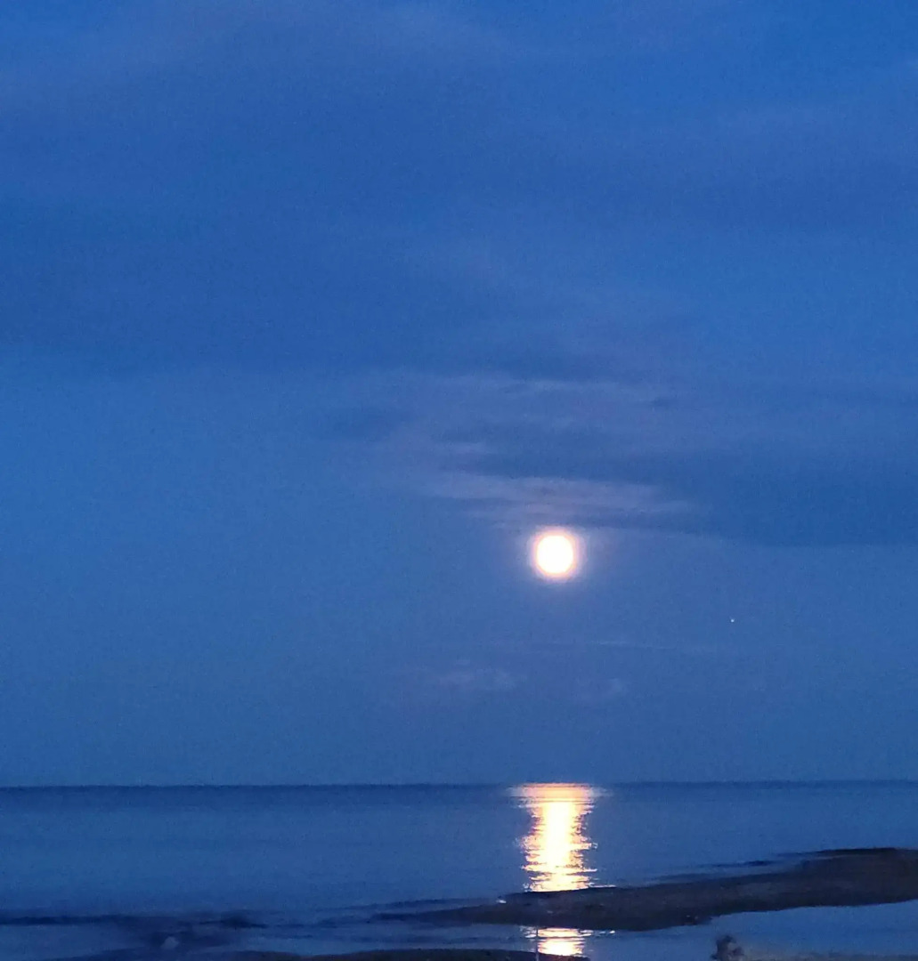 Апартаменты на улице Гагарина 152