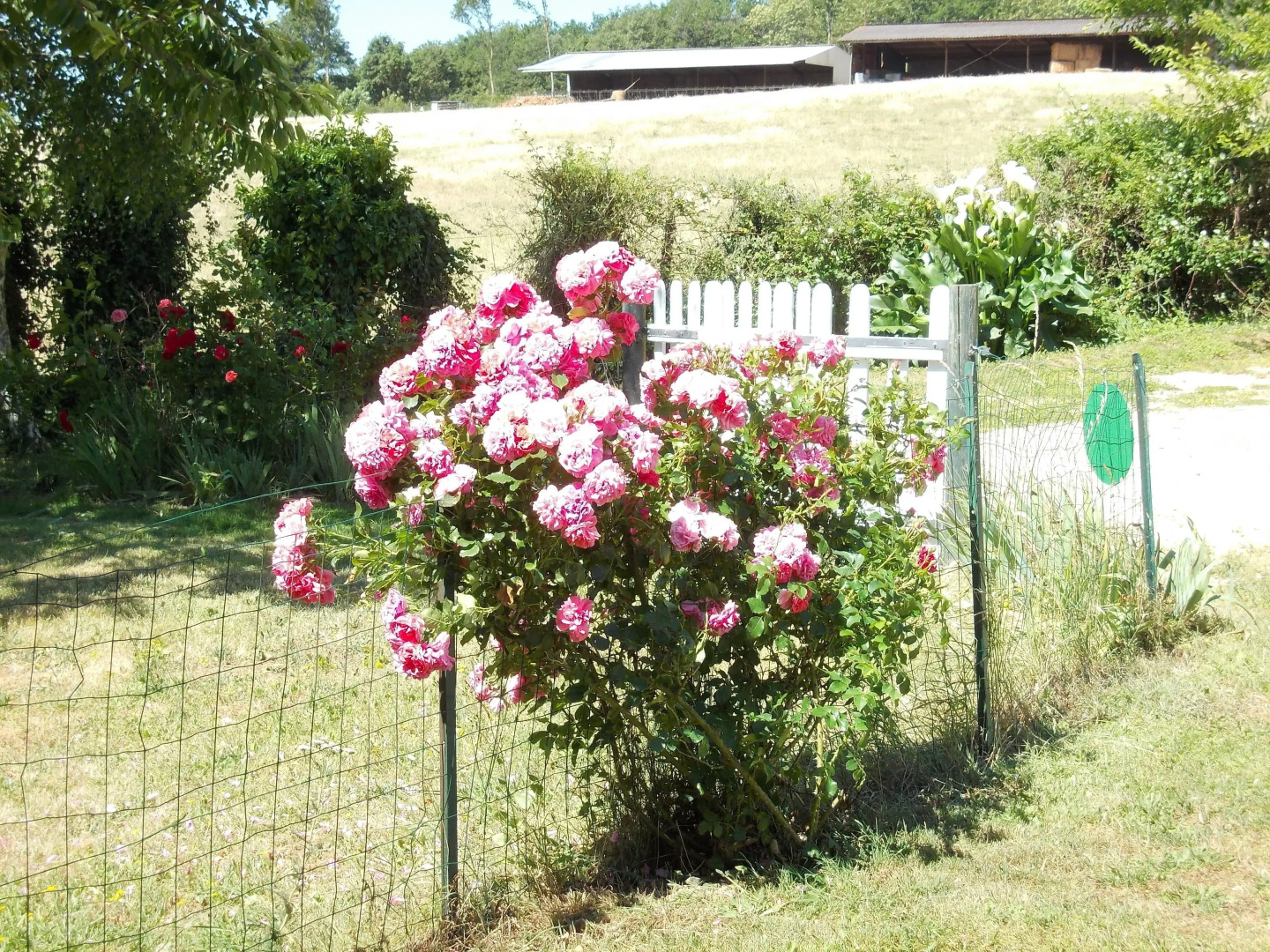 La Gaucherie aux Dames