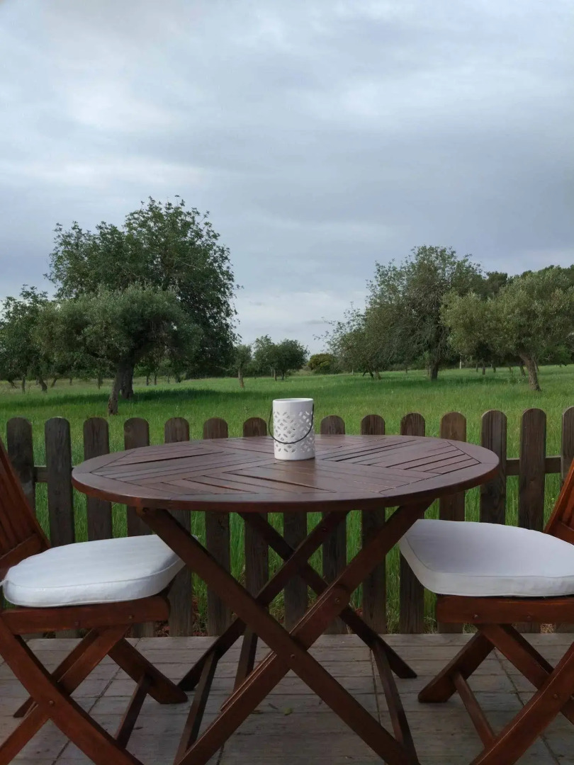 Agroturismo Sa Vinya d'en Palerm