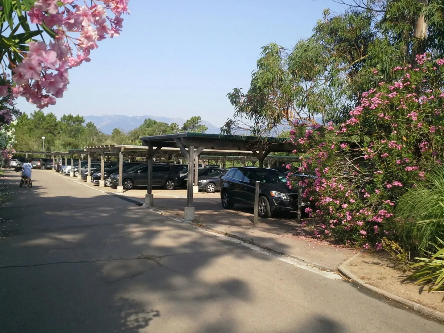 Hotel Marina Corsica