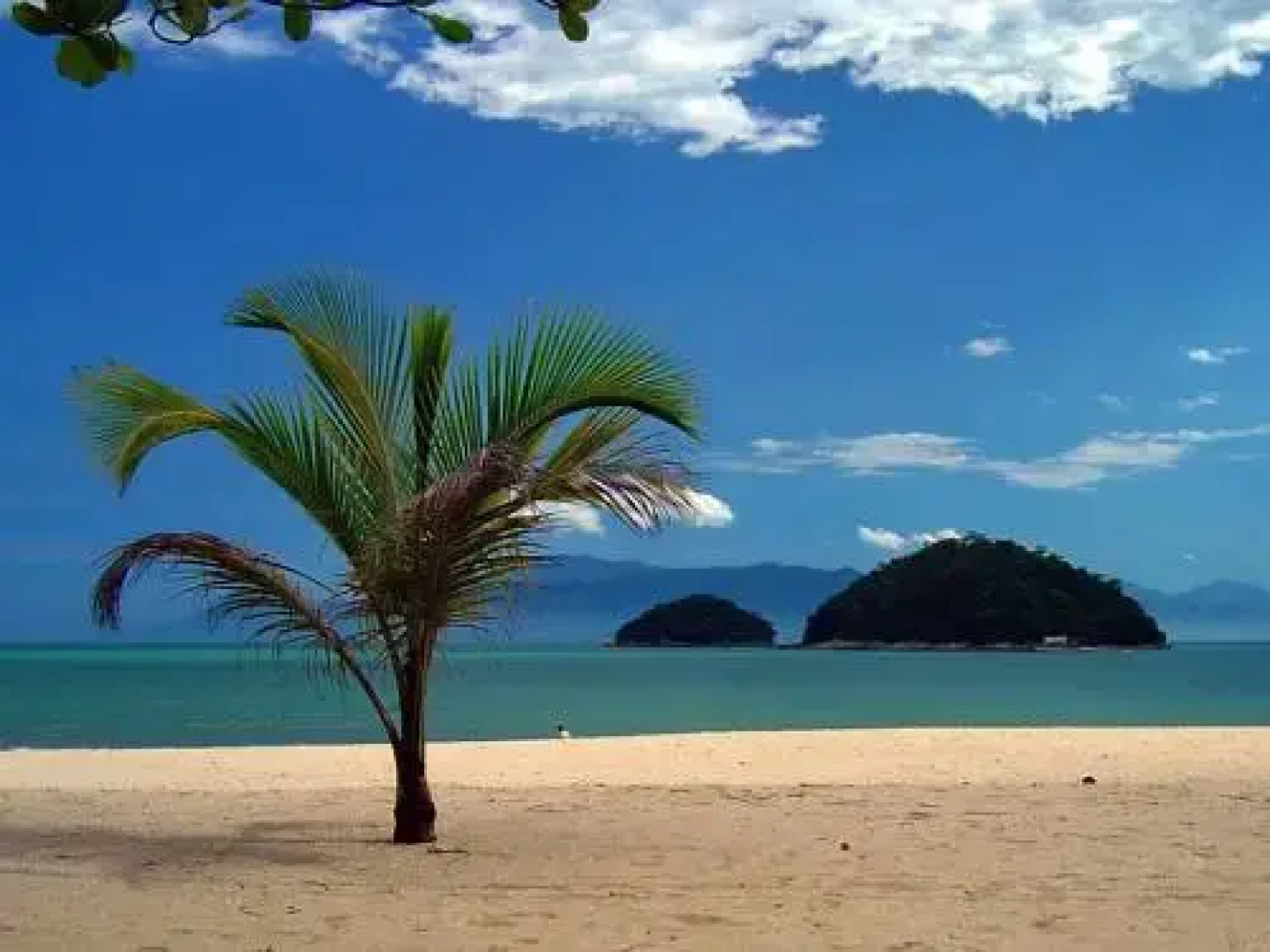 Hotel Pousada Massaguaçu