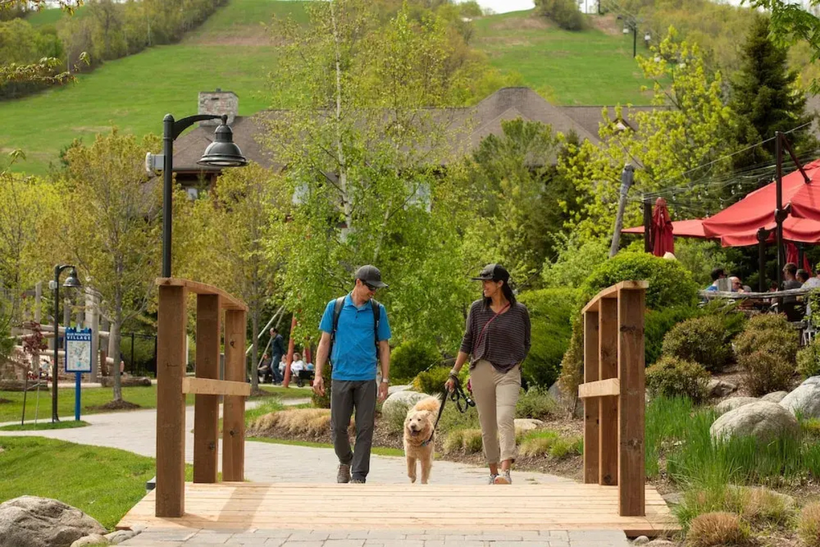 Blue Mountain Resort Inn