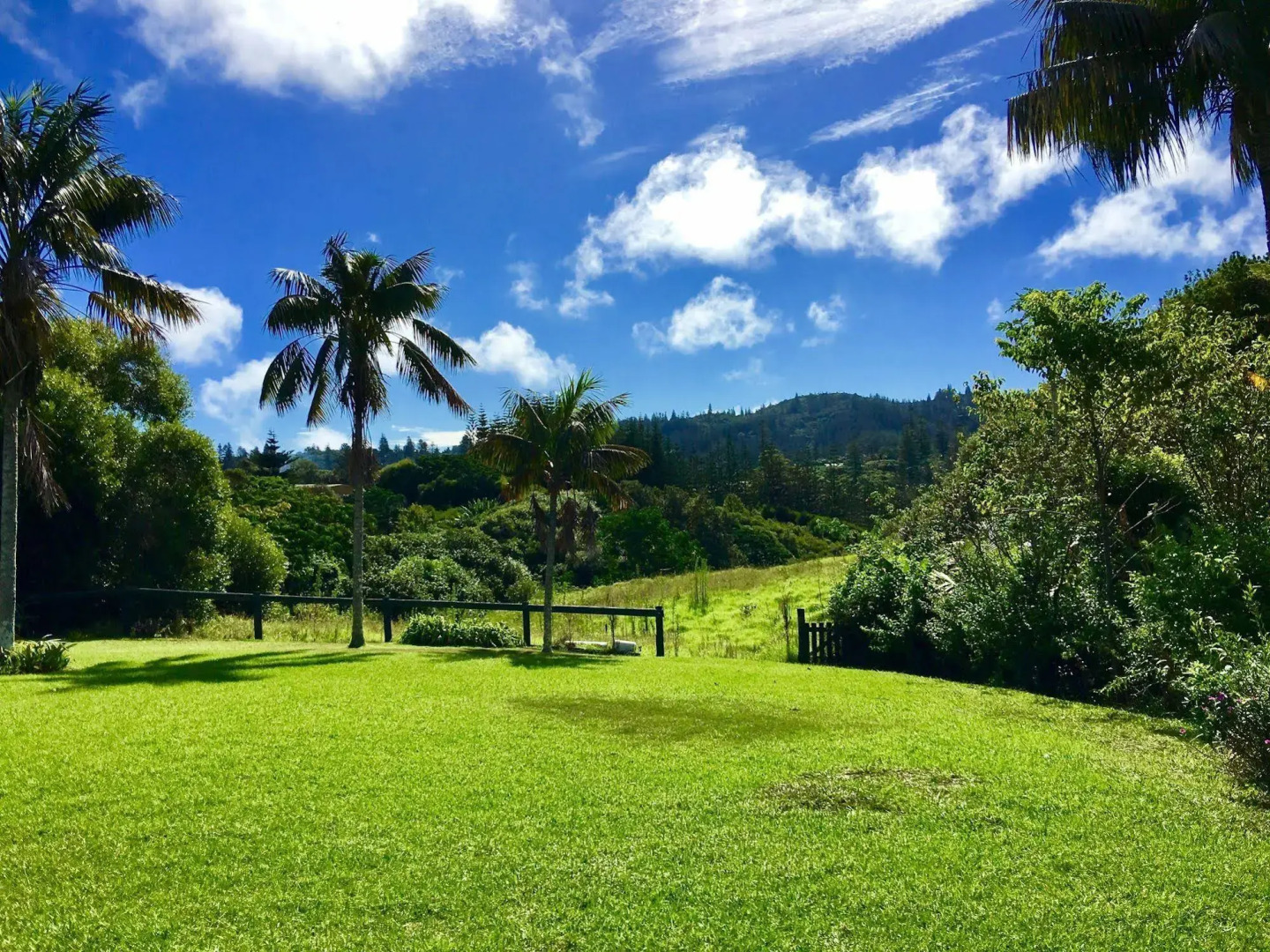 The Polynesian Apartments