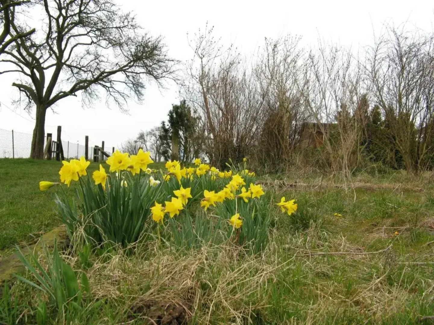 Ferienwohnungen zur Eule