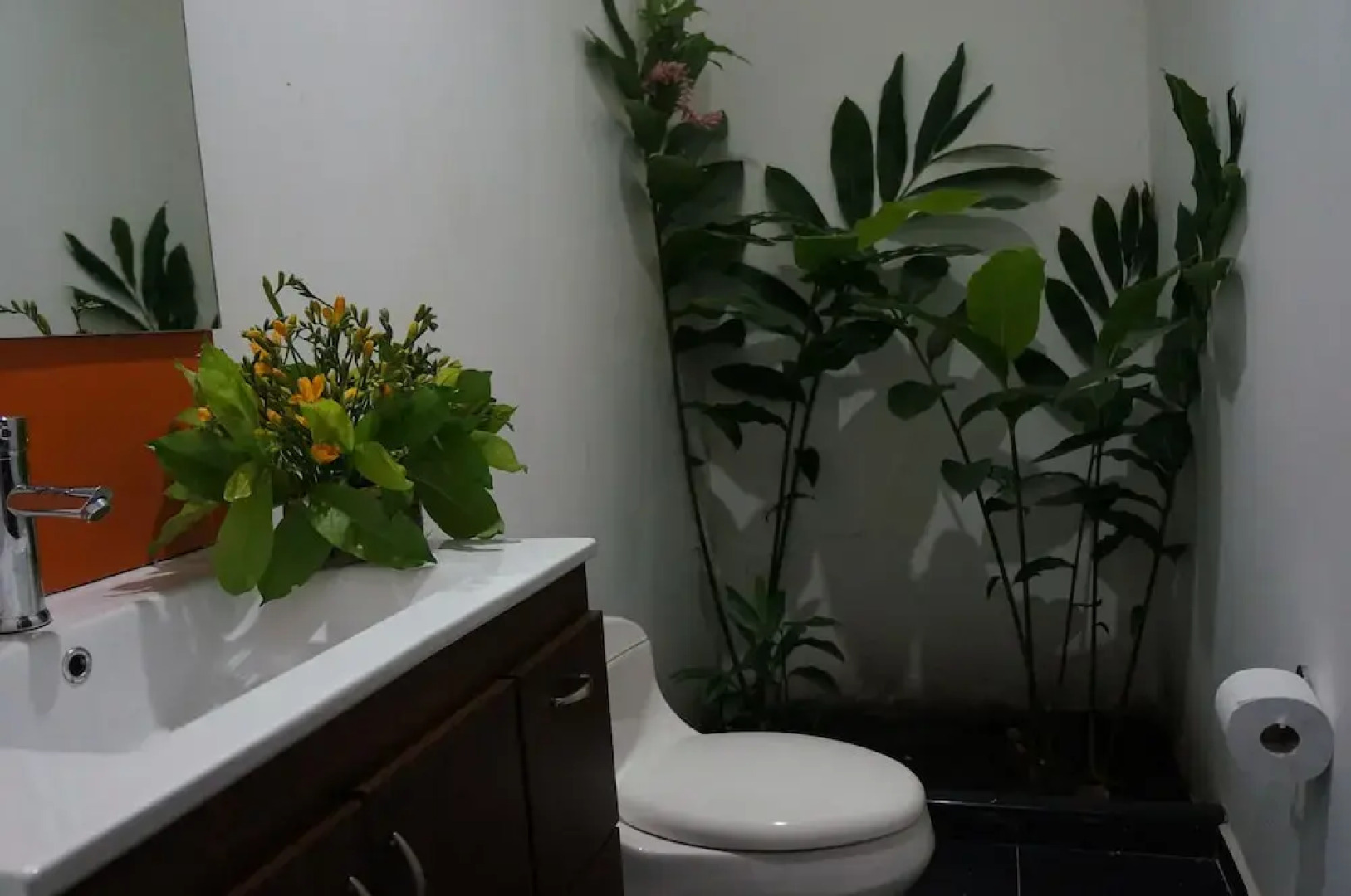 Hotel Campestre Panorama