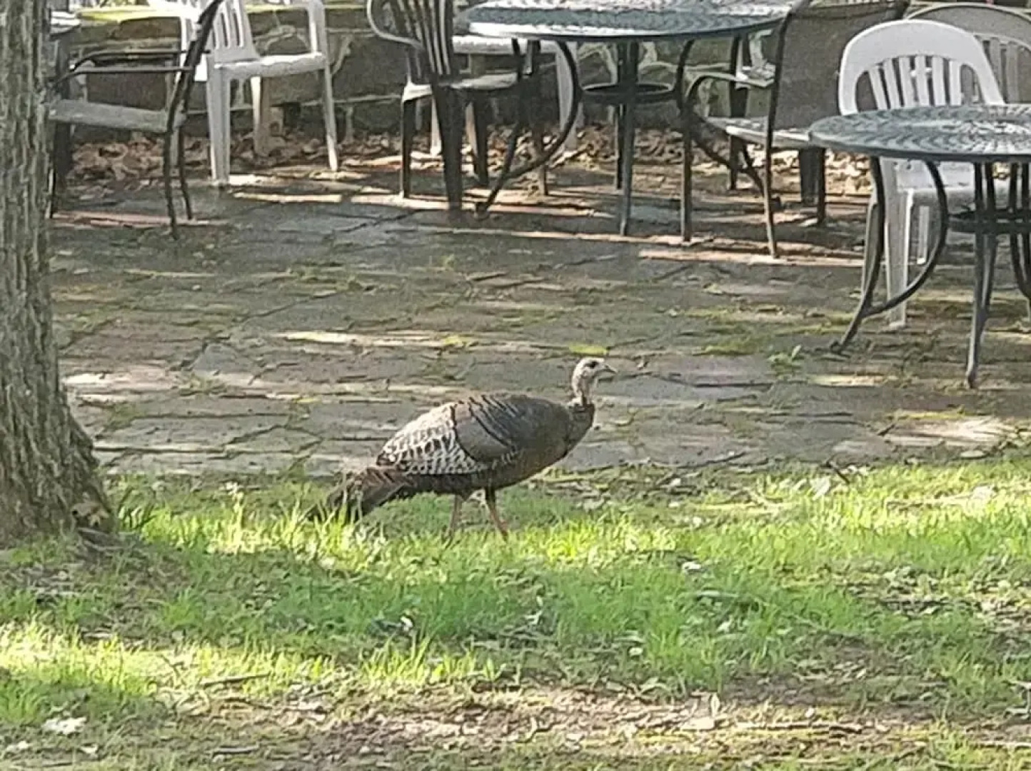 Maurrocks Bed & Breakfast