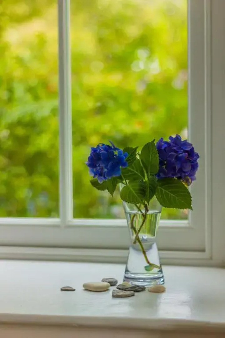 The Old Sunday School