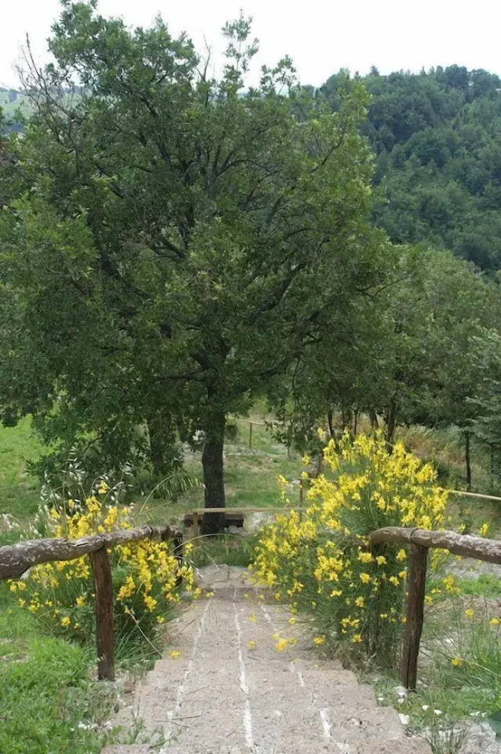 Agriturismo Il Boschetto