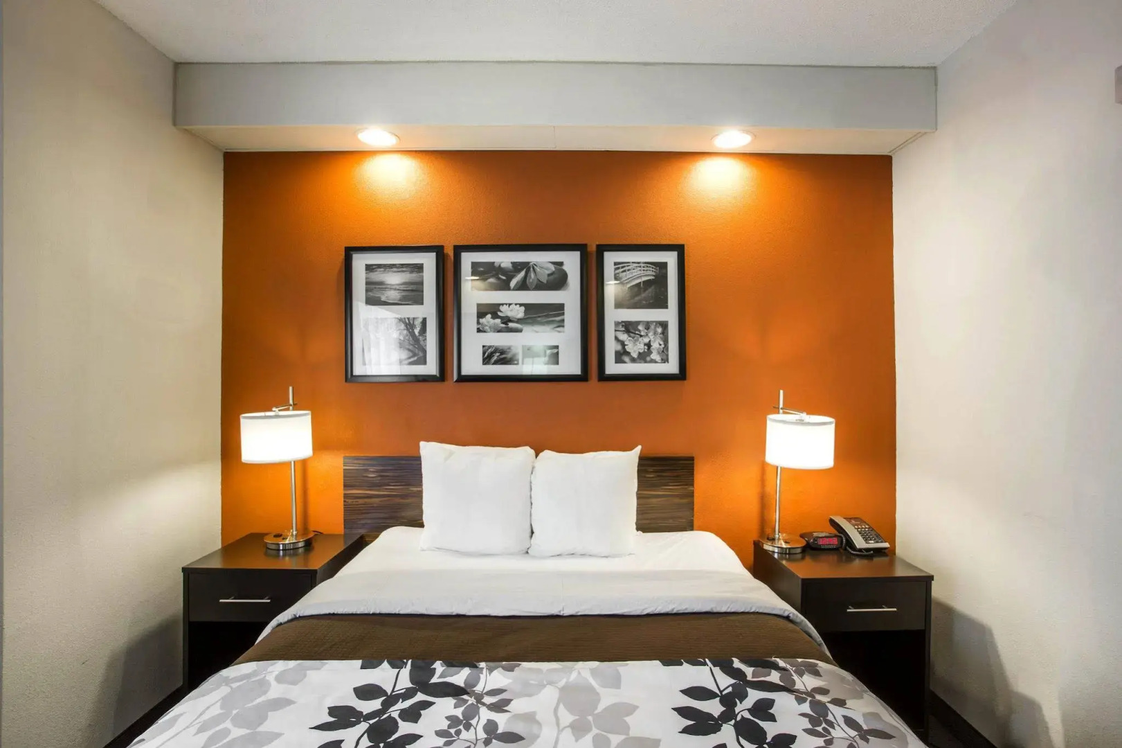 Sleep Inn Nashville - Brentwood - Cool Springs