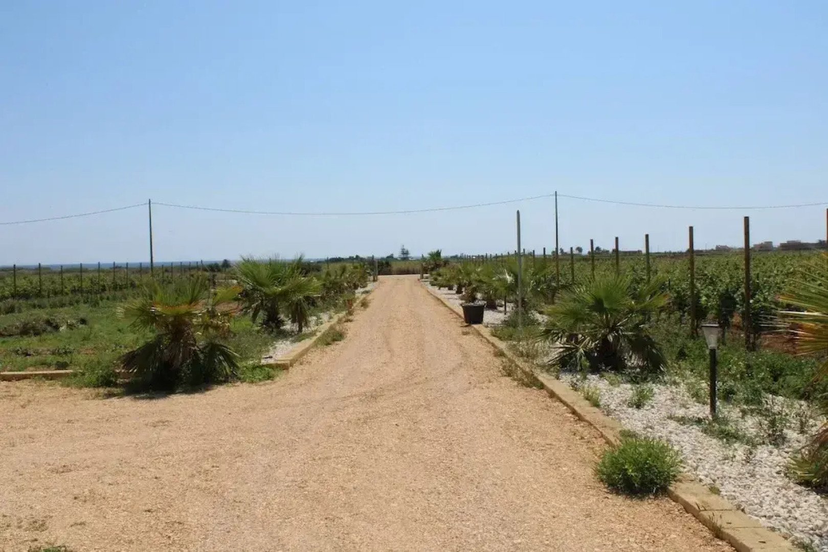 Smiles & Sunsets - Marino's Resort