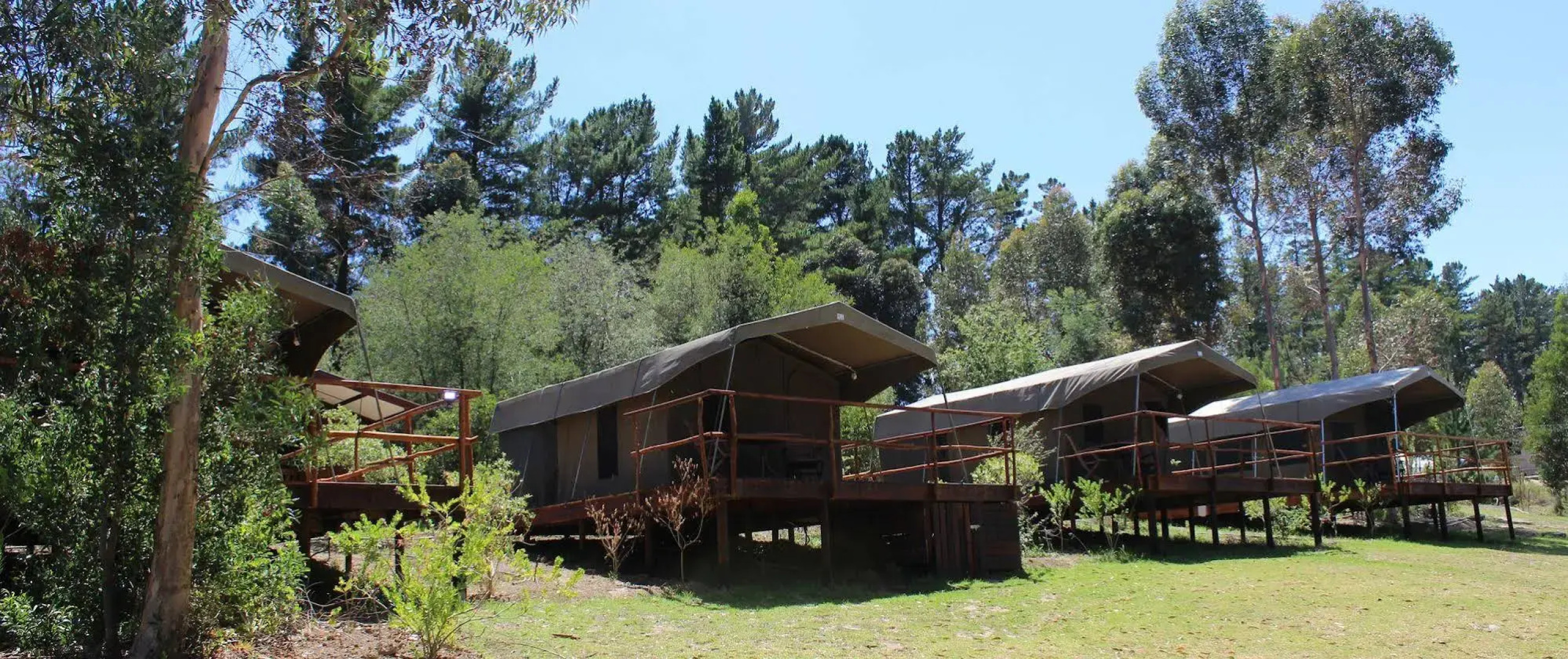 Tri Active Lodge