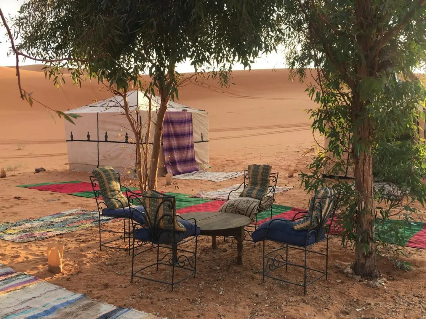 Nomadic Desert Camp Tours