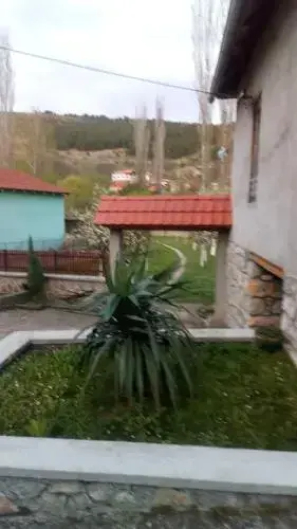 Guest House Green view