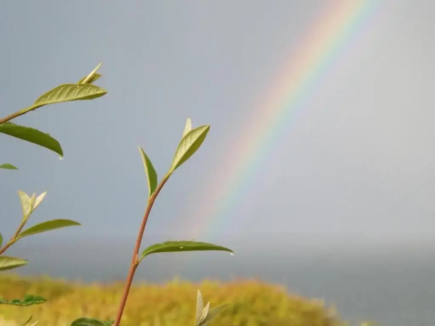 The Cabin with the View (Adults Only)