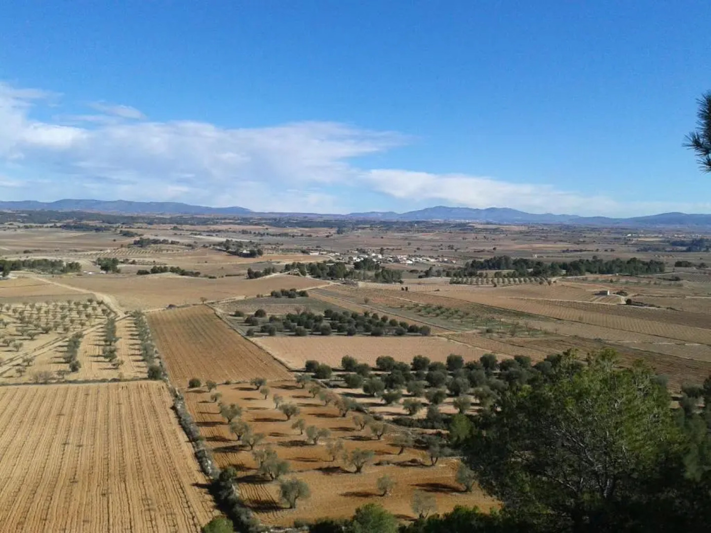 Pensión Isla - Couples Only