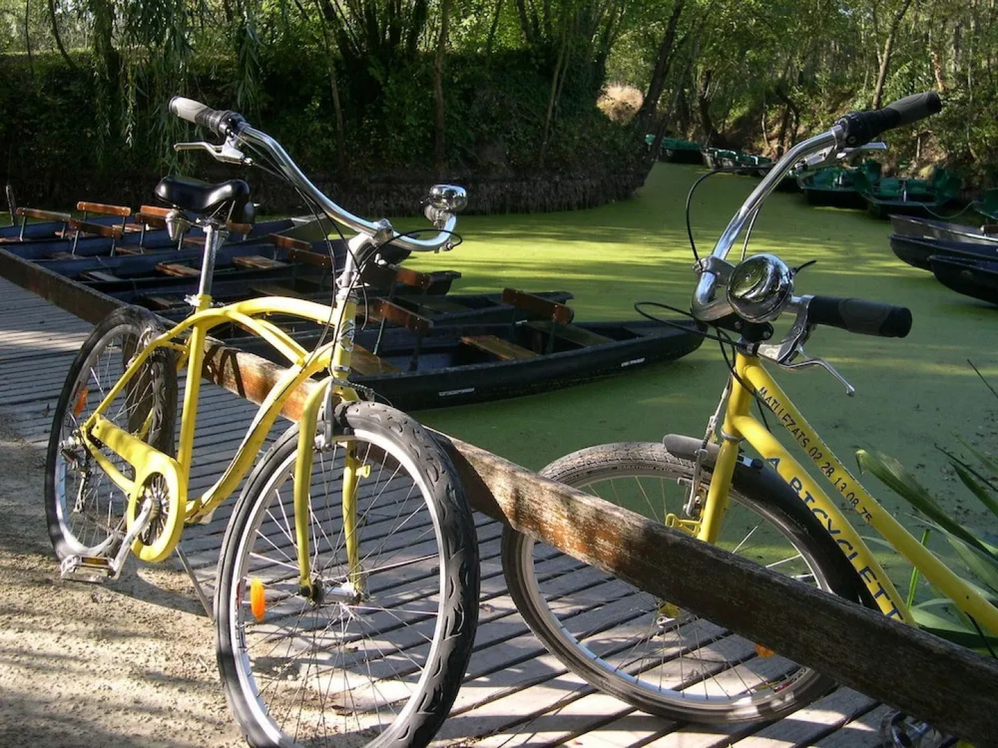 Chambre d'Hote La Gauviniere