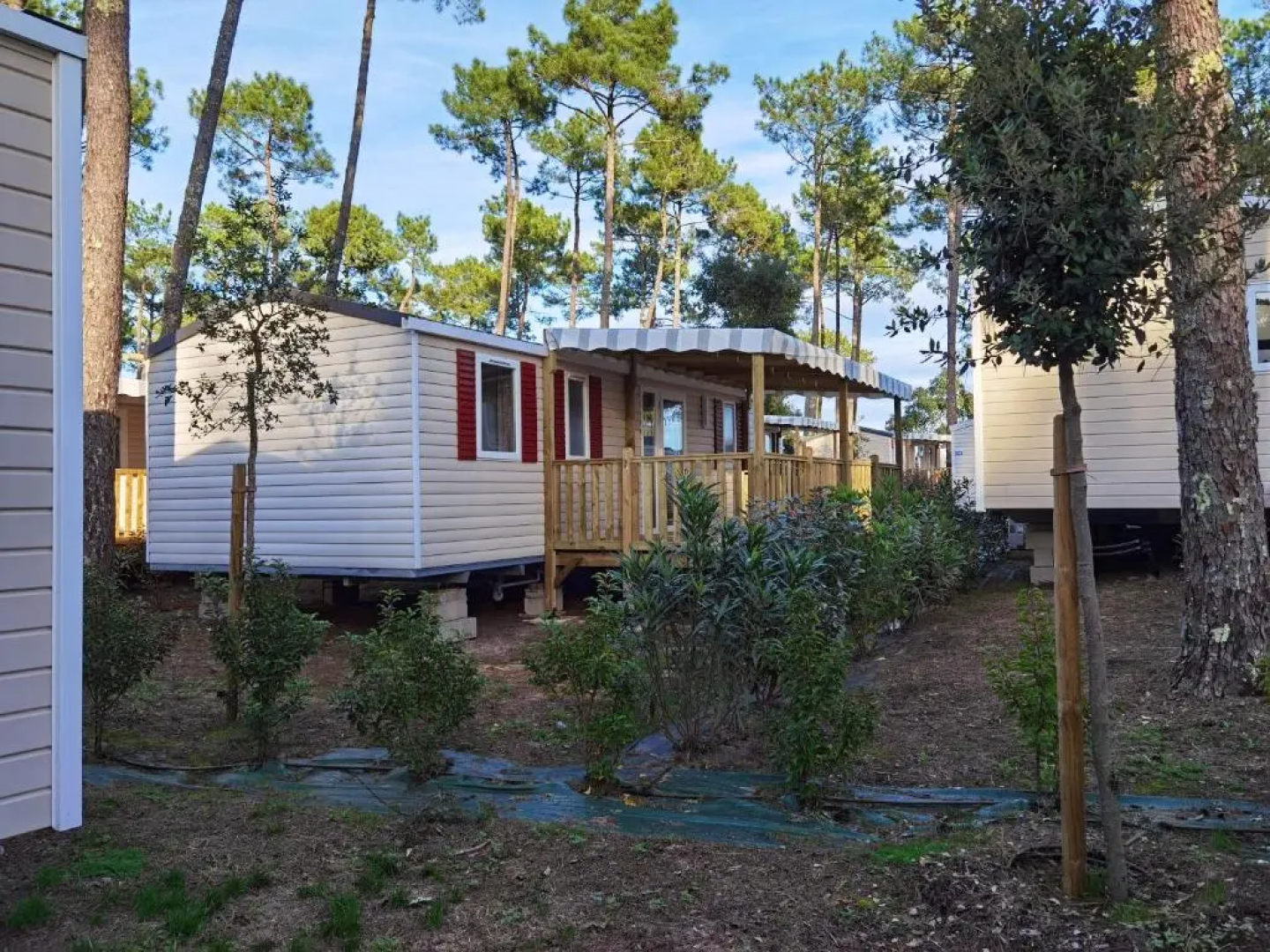 Bungalow de 3 chambres avec piscine partagee jardin amenage et wifi a Saint Julien en Born