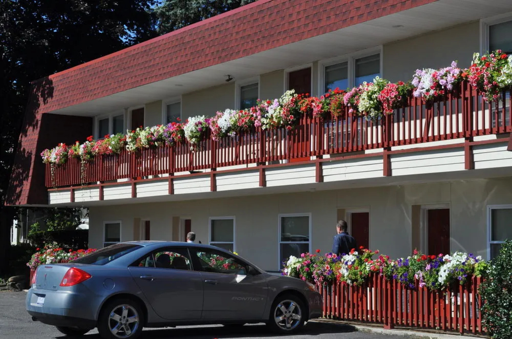 Blue Spruce Inn & Suites