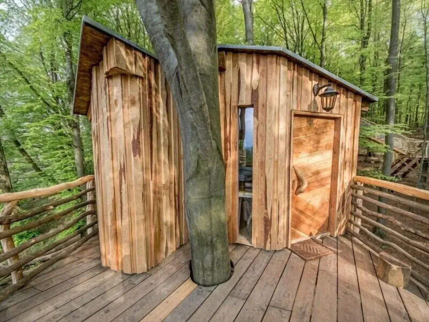 Robins Nest Baumhaushotel