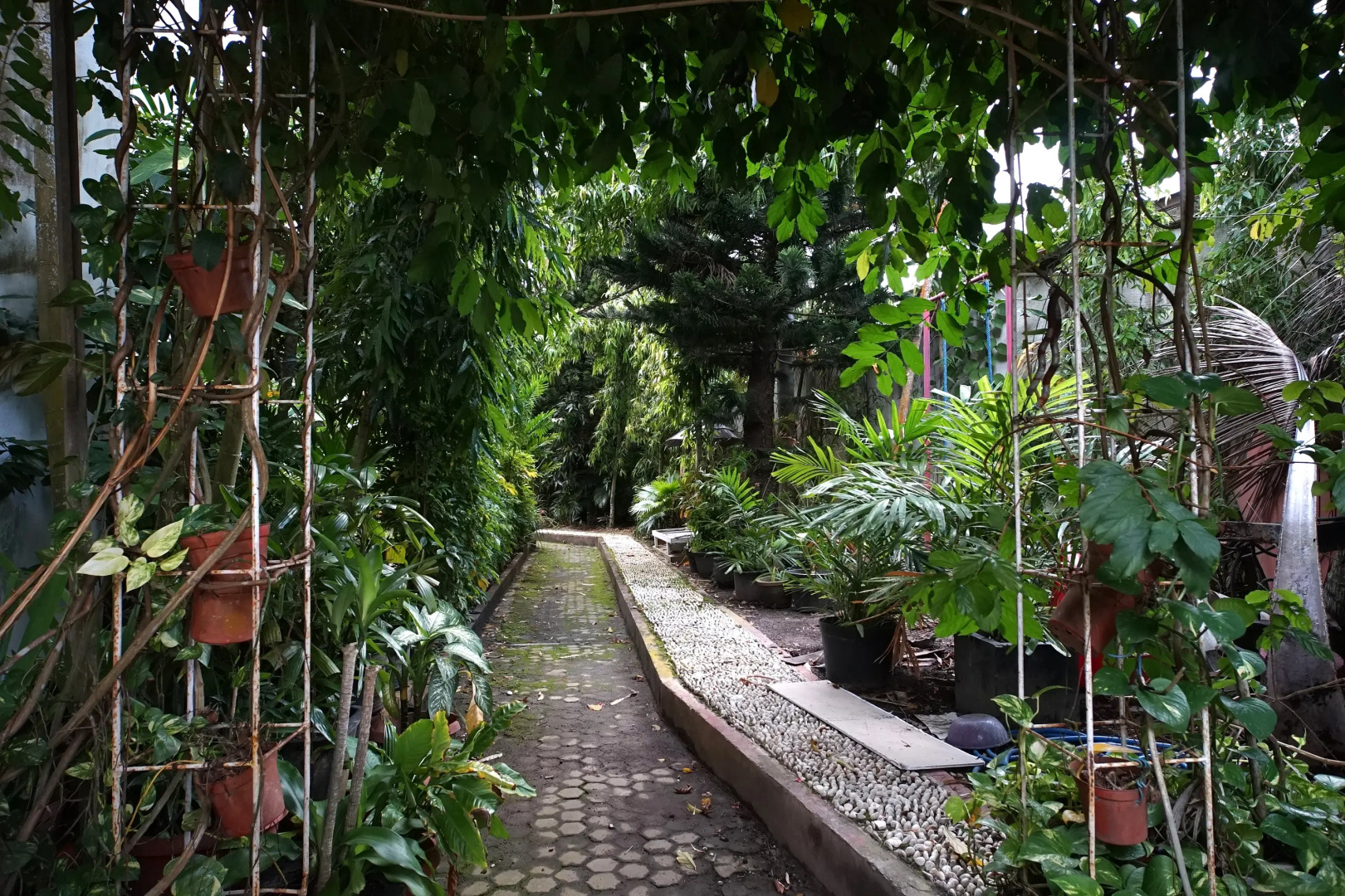 Benakutai Hotel and Apartemen