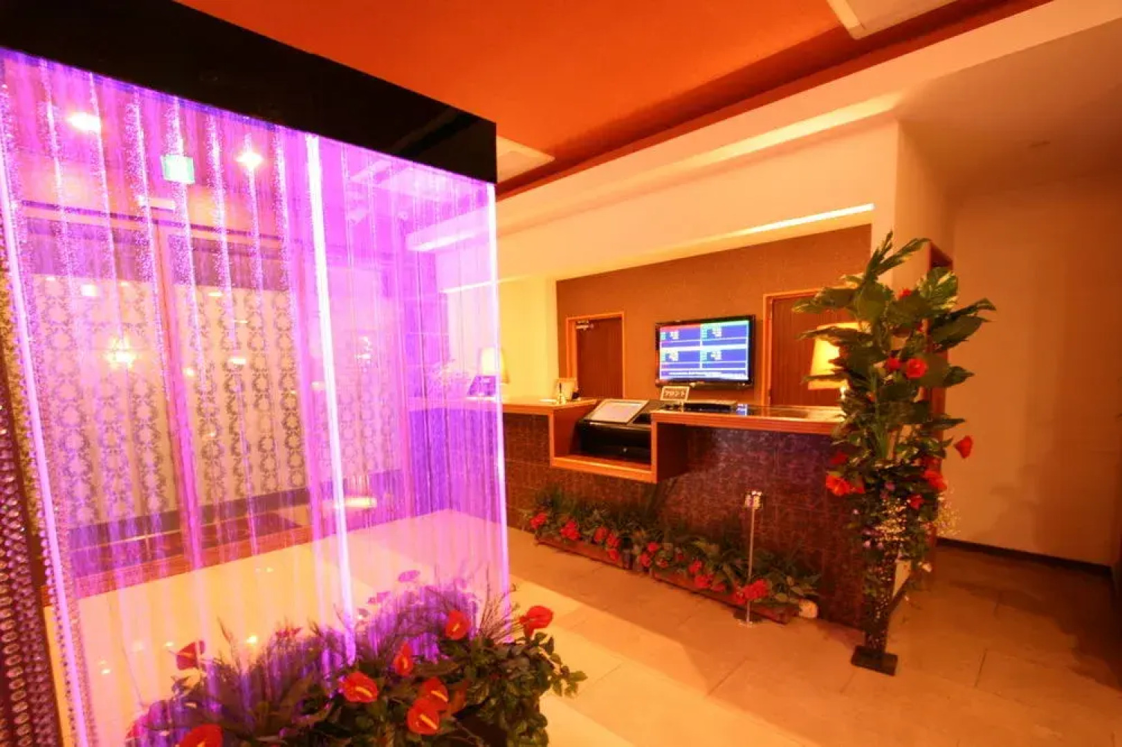 Hotel Stylish Resort