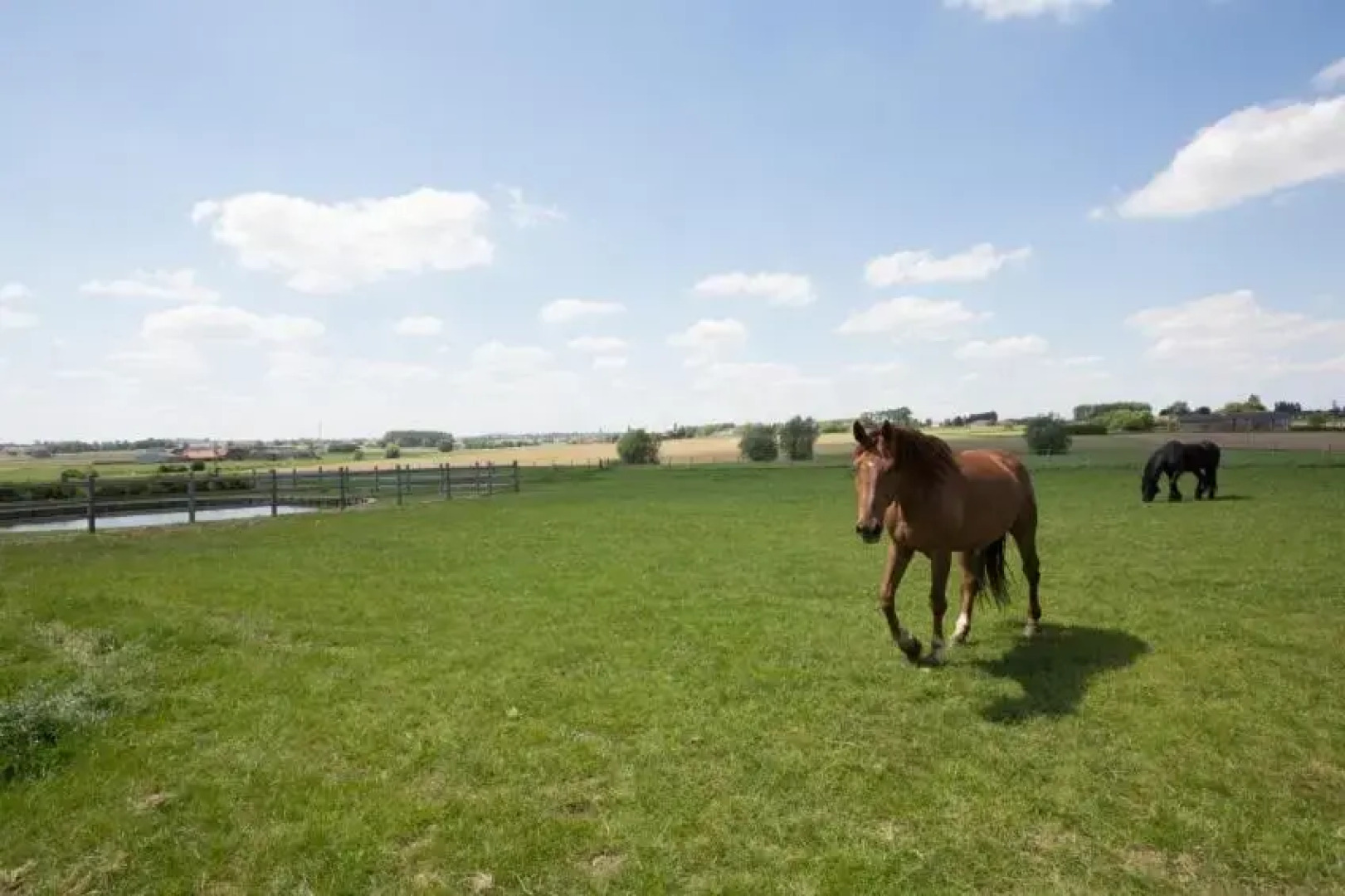 Cottage d'Hoge Schure