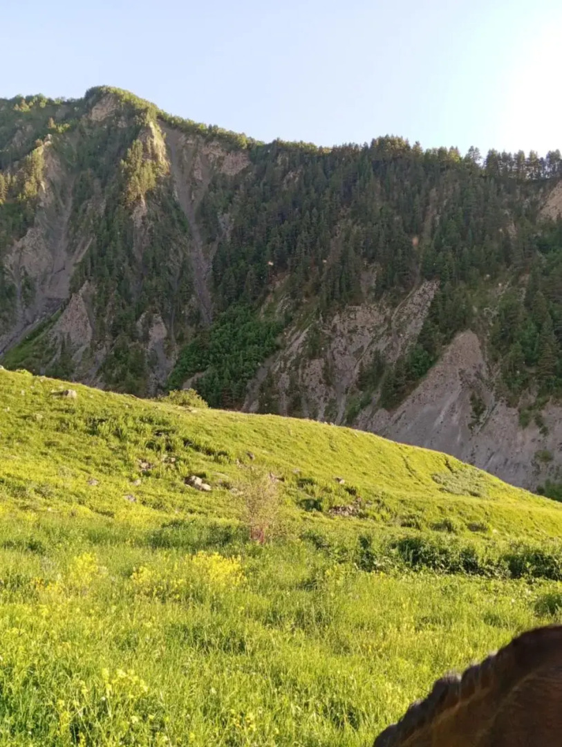 Elizabeth's Guest House